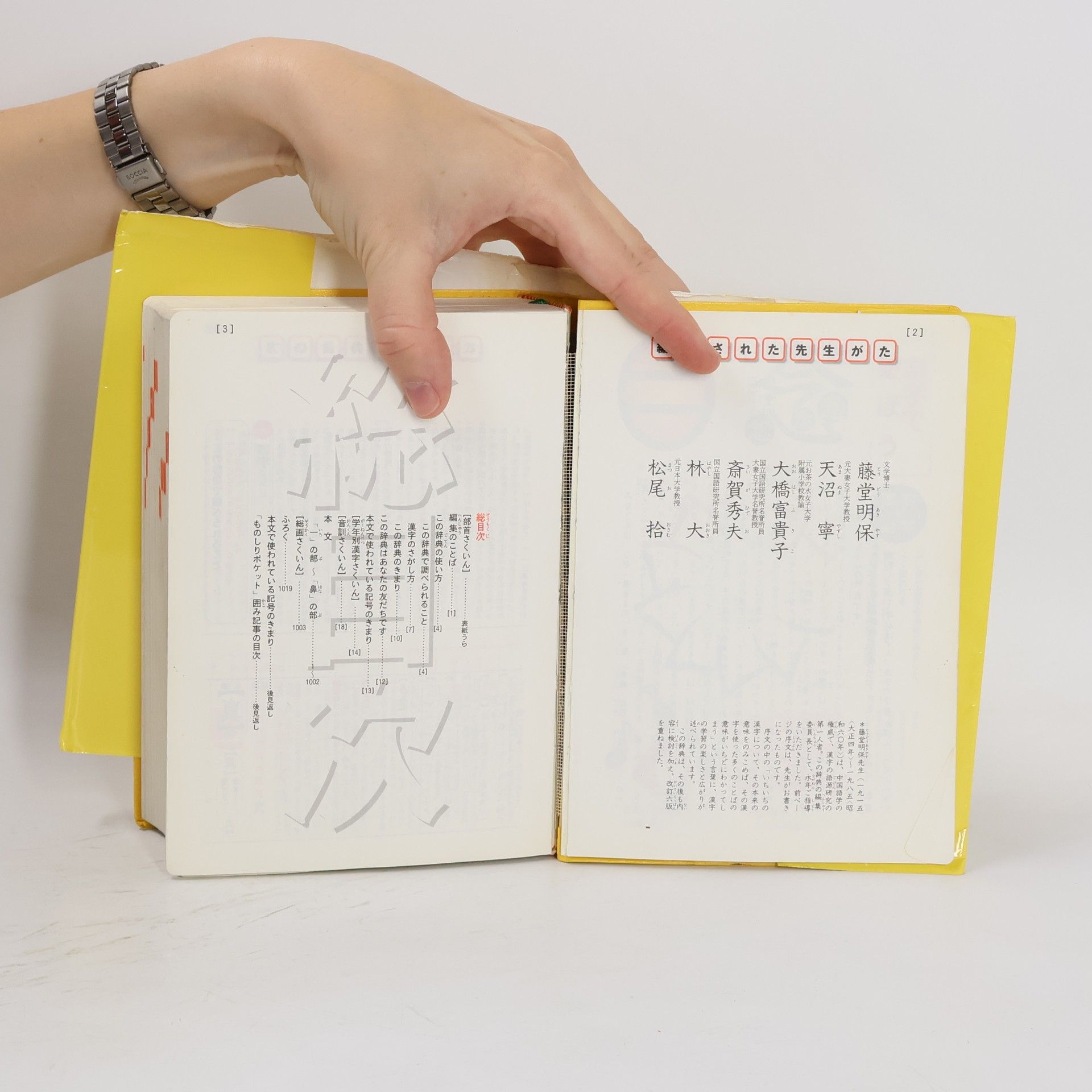 Akihaho Tōdō 例解学習漢字辞典. 第六版
