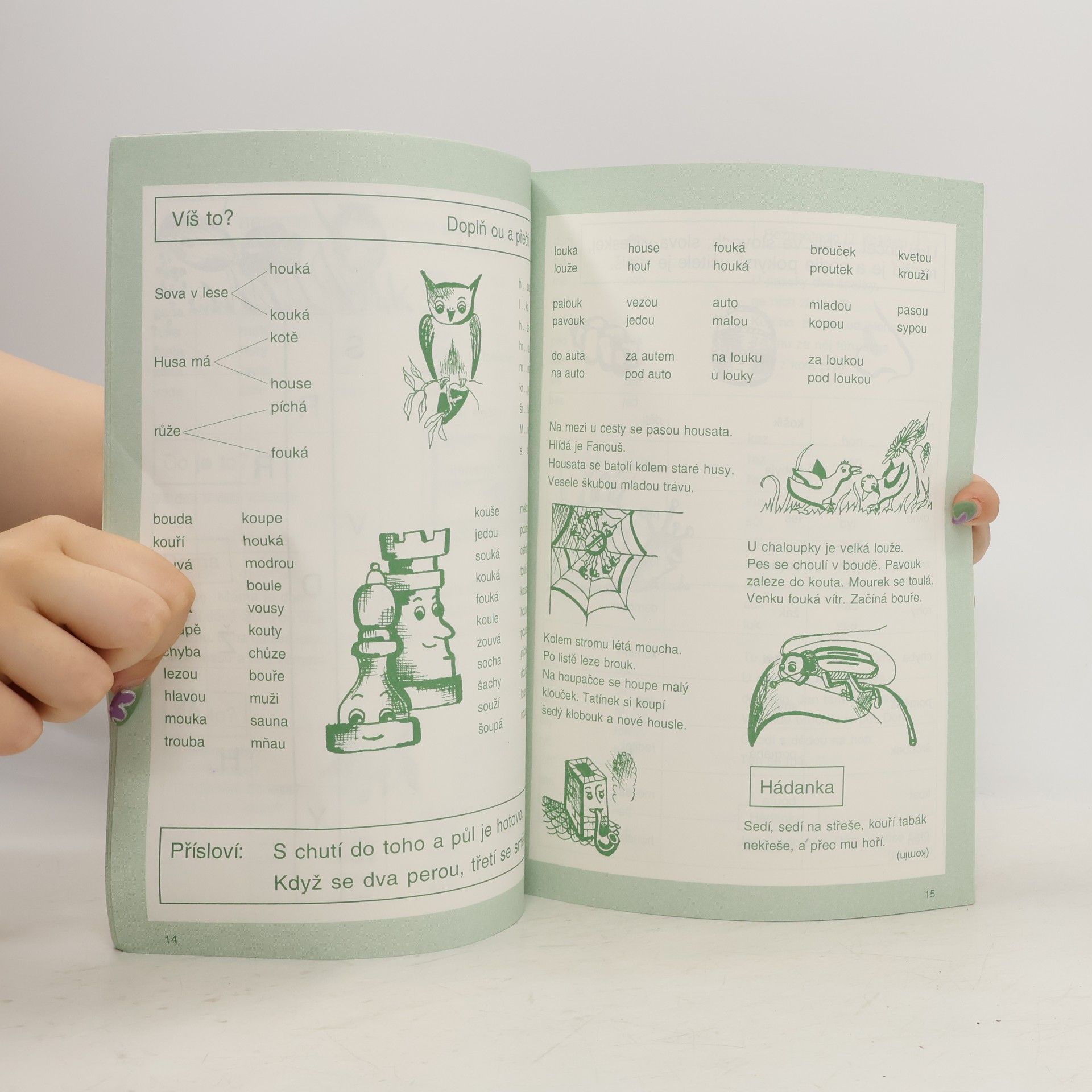 Hana Treuová Čítanka pro dyslektiky. Speciální pedagogika