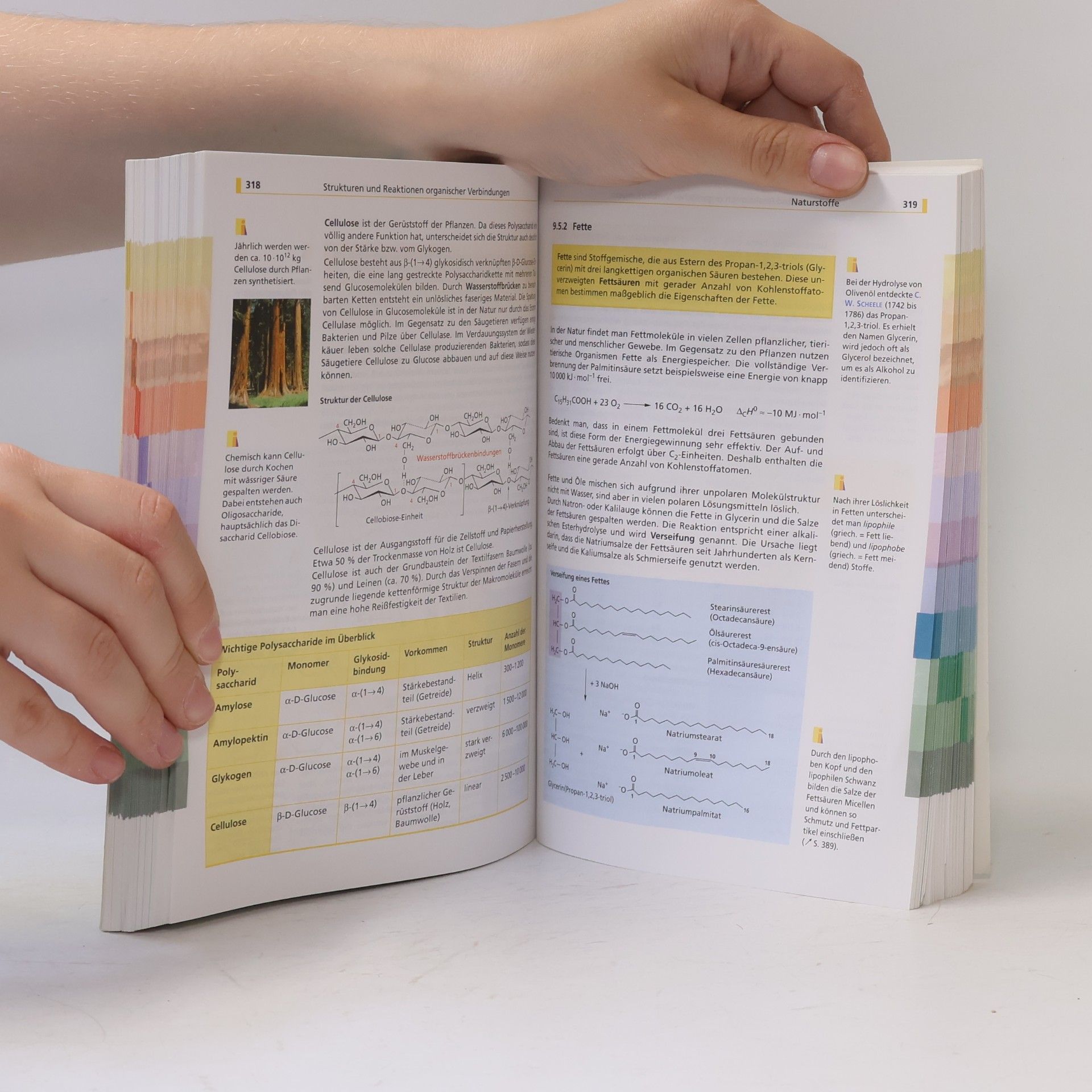 Autorenkollektiv Abiturwissen. Chemie