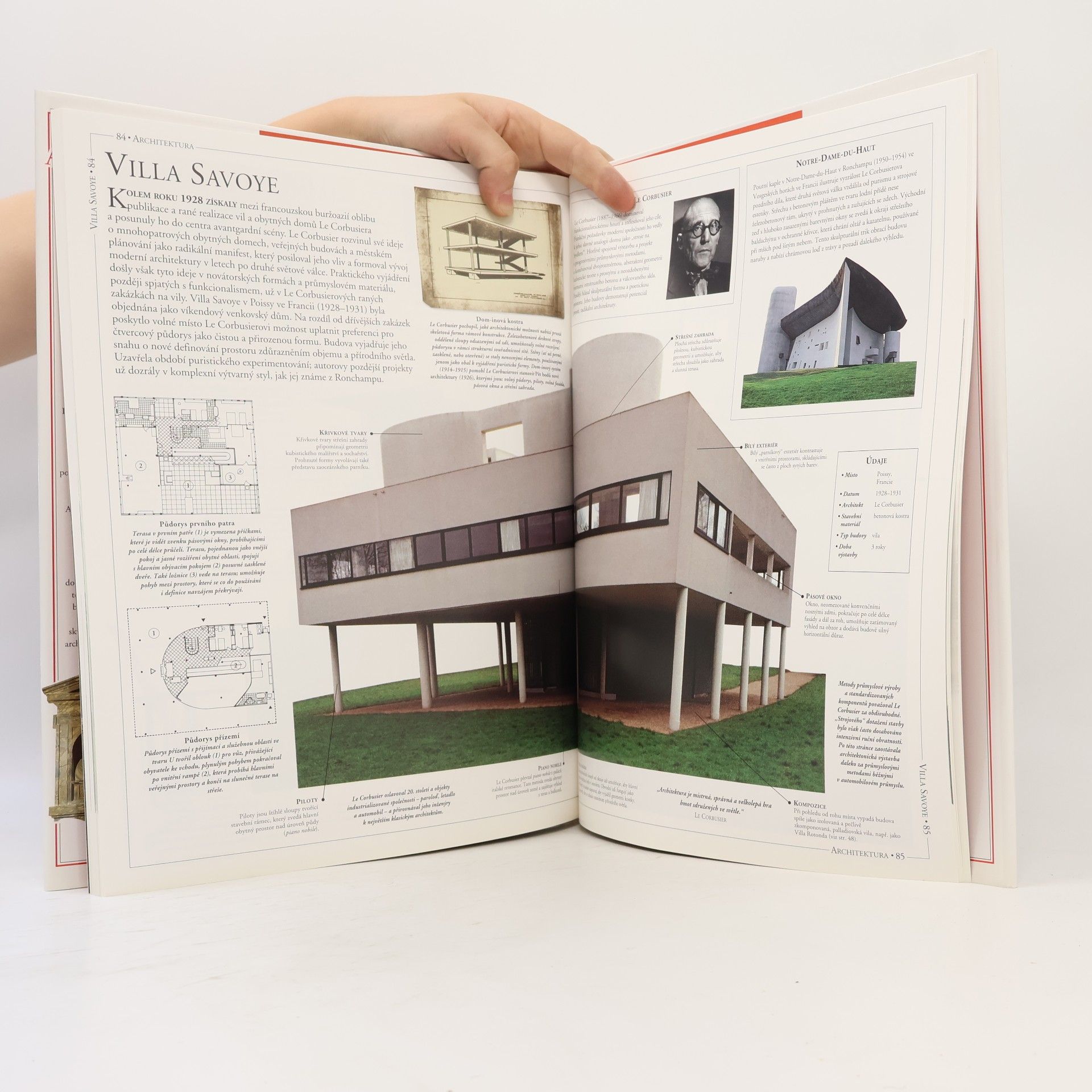 Neil Stevenson Architektura