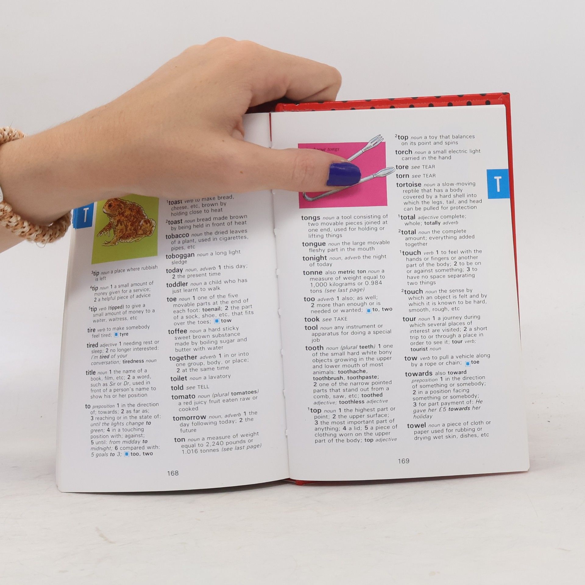 Mike Nicholls Ladybird Dictionary with Colour Illustrations