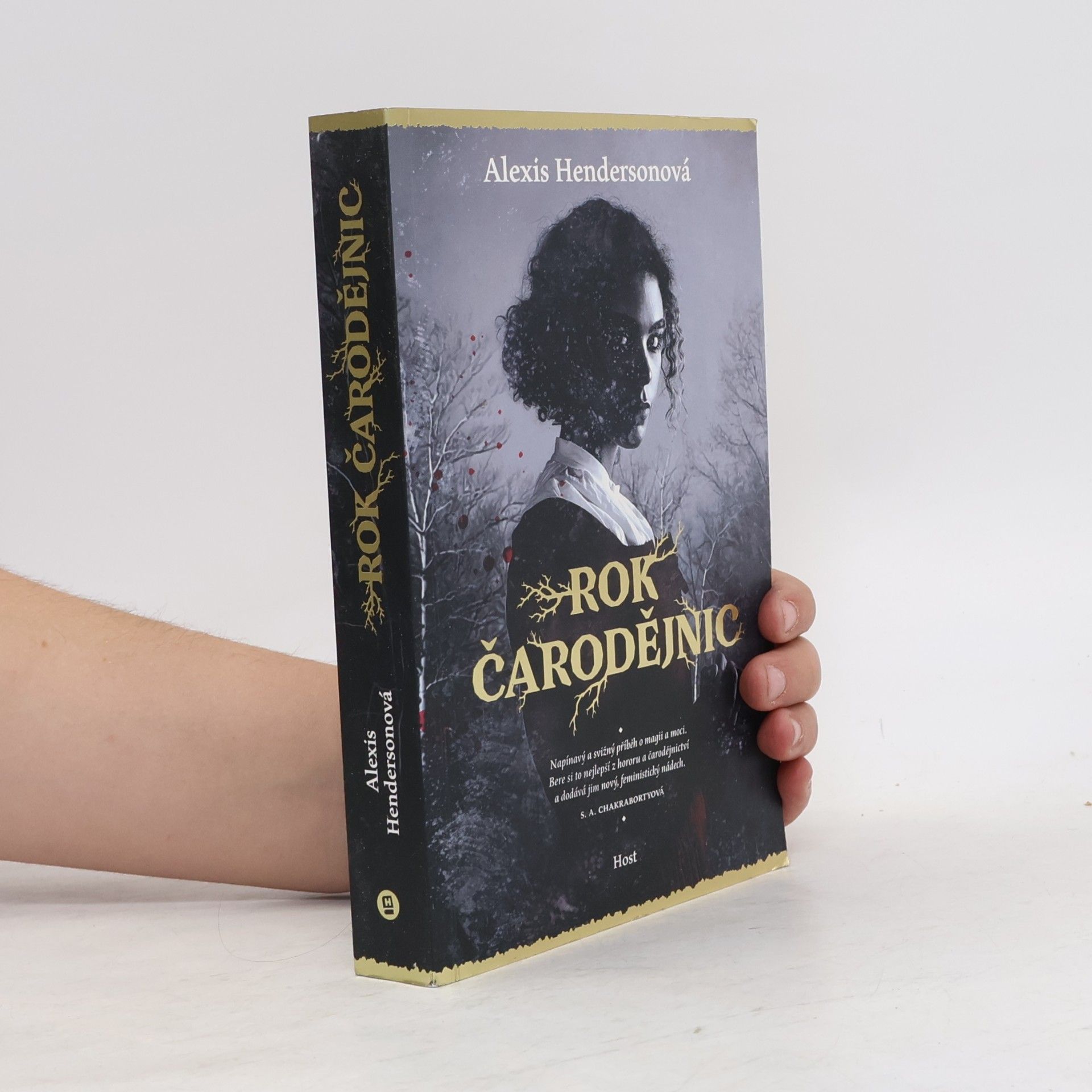 Alexis Henderson Rok čarodějnic