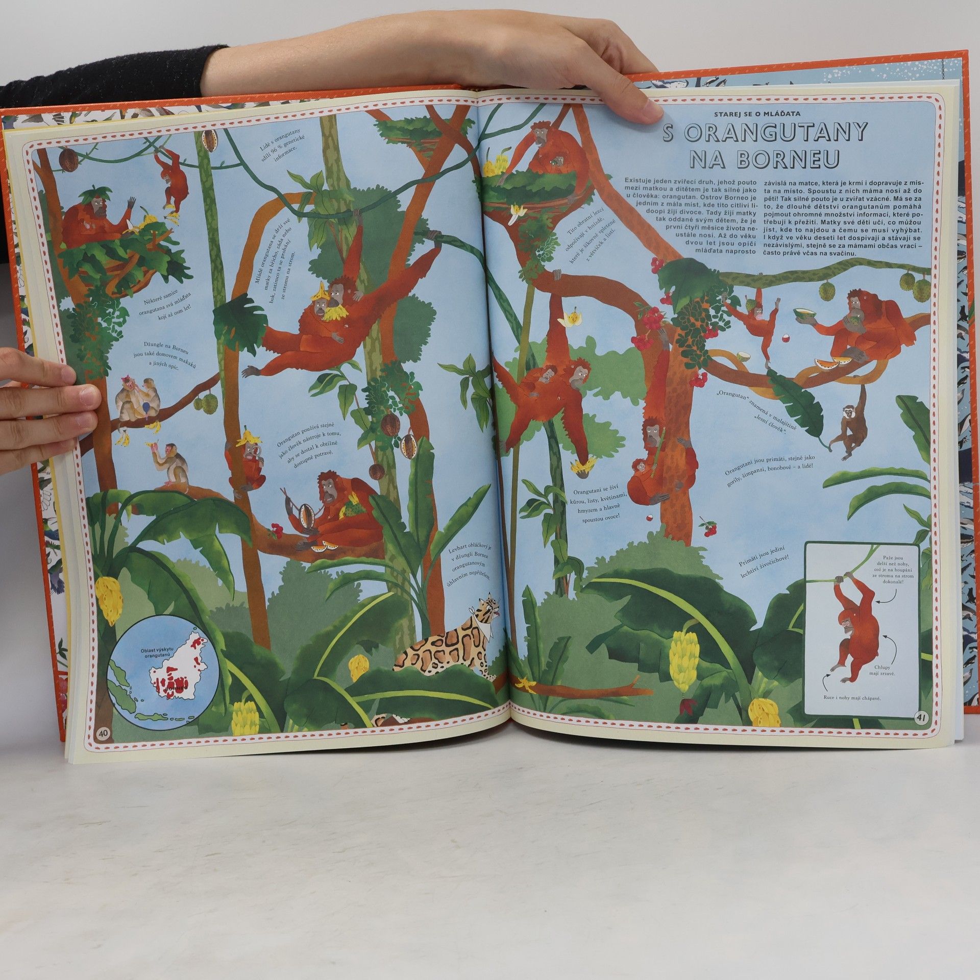 Emily Hawkins Atlas dobrodružství: Zvířata