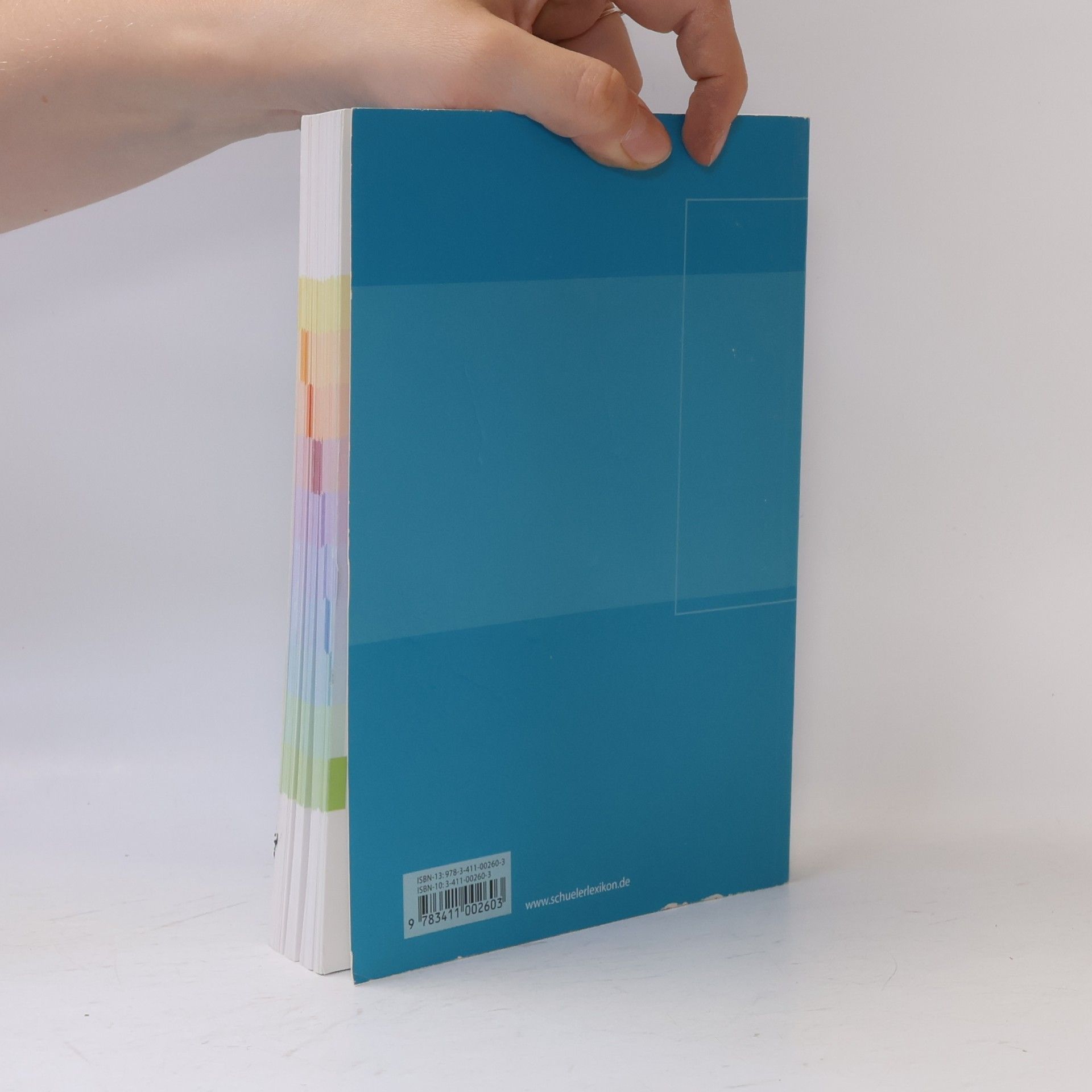 Autorenkollektiv Abiturwissen. Physik