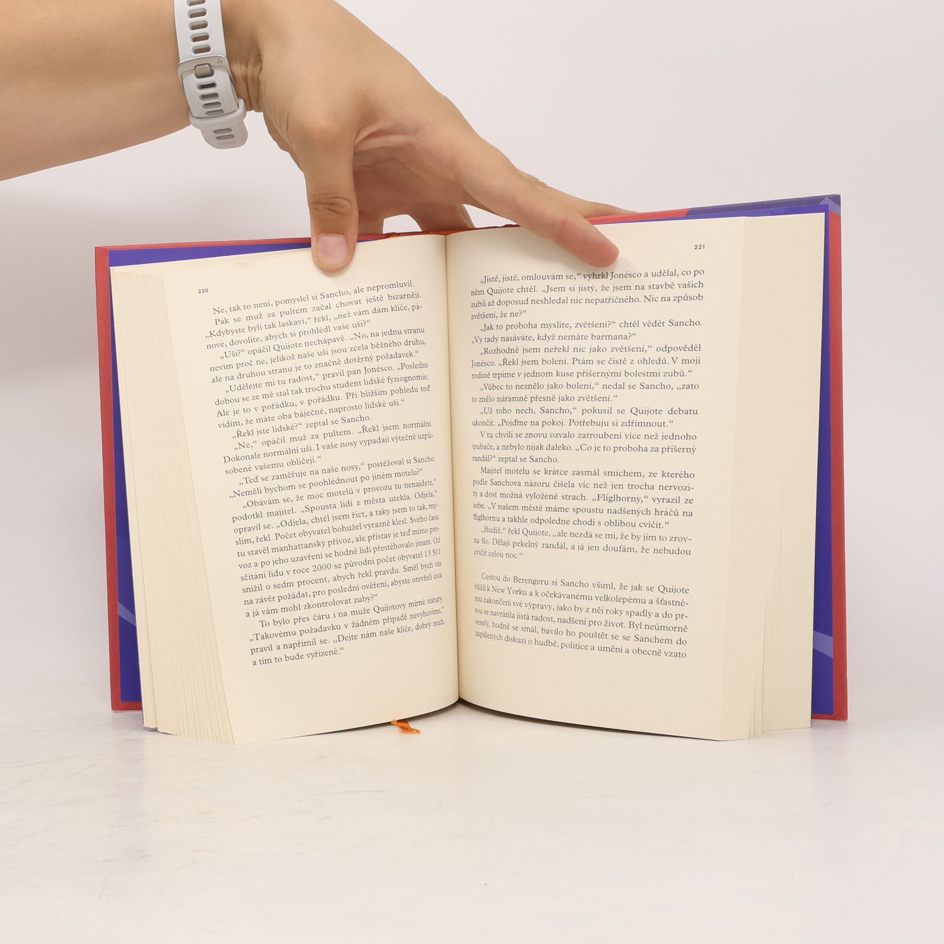 Salman Rushdie Quijote