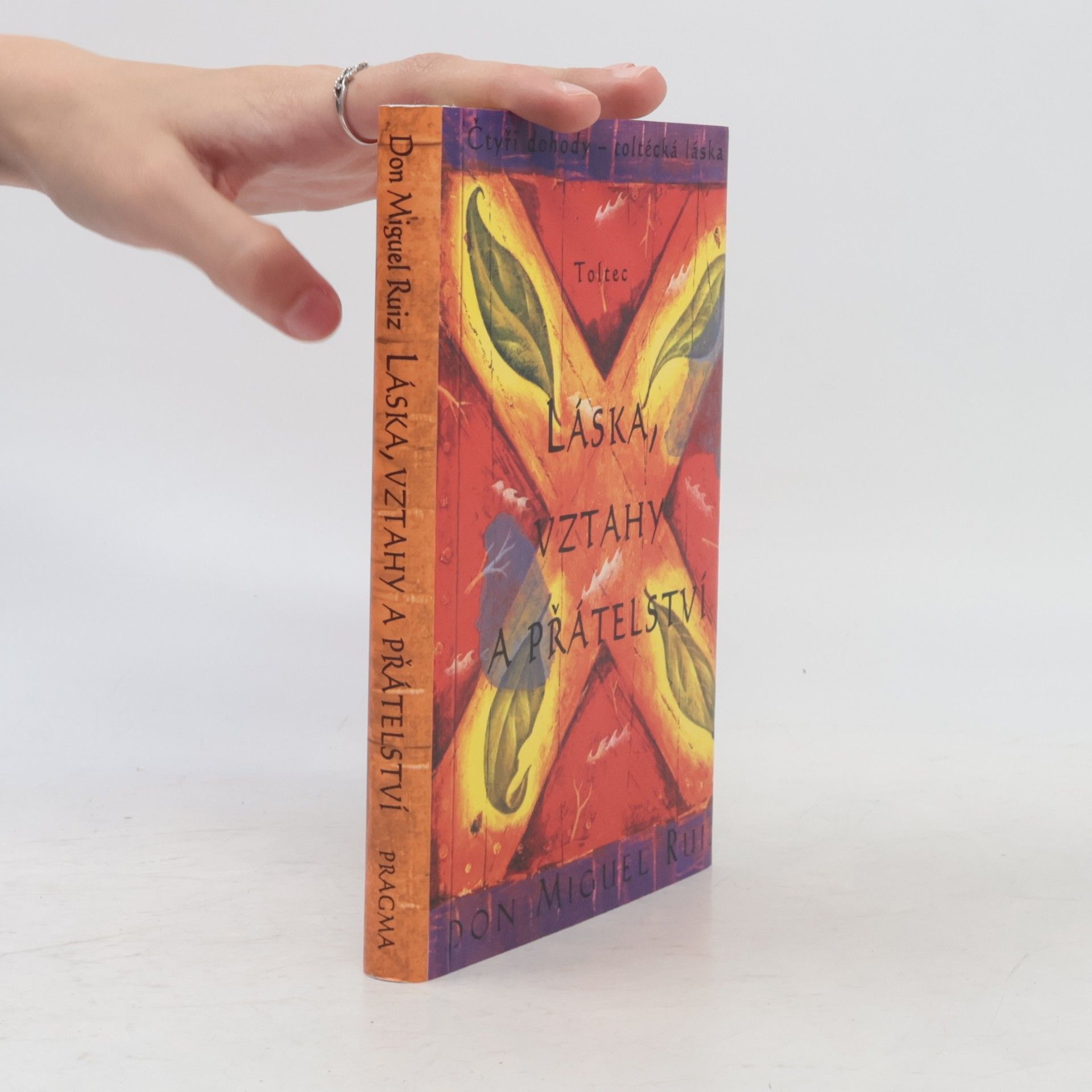 Don Miguel Ruiz Láska, vztahy a přátelství