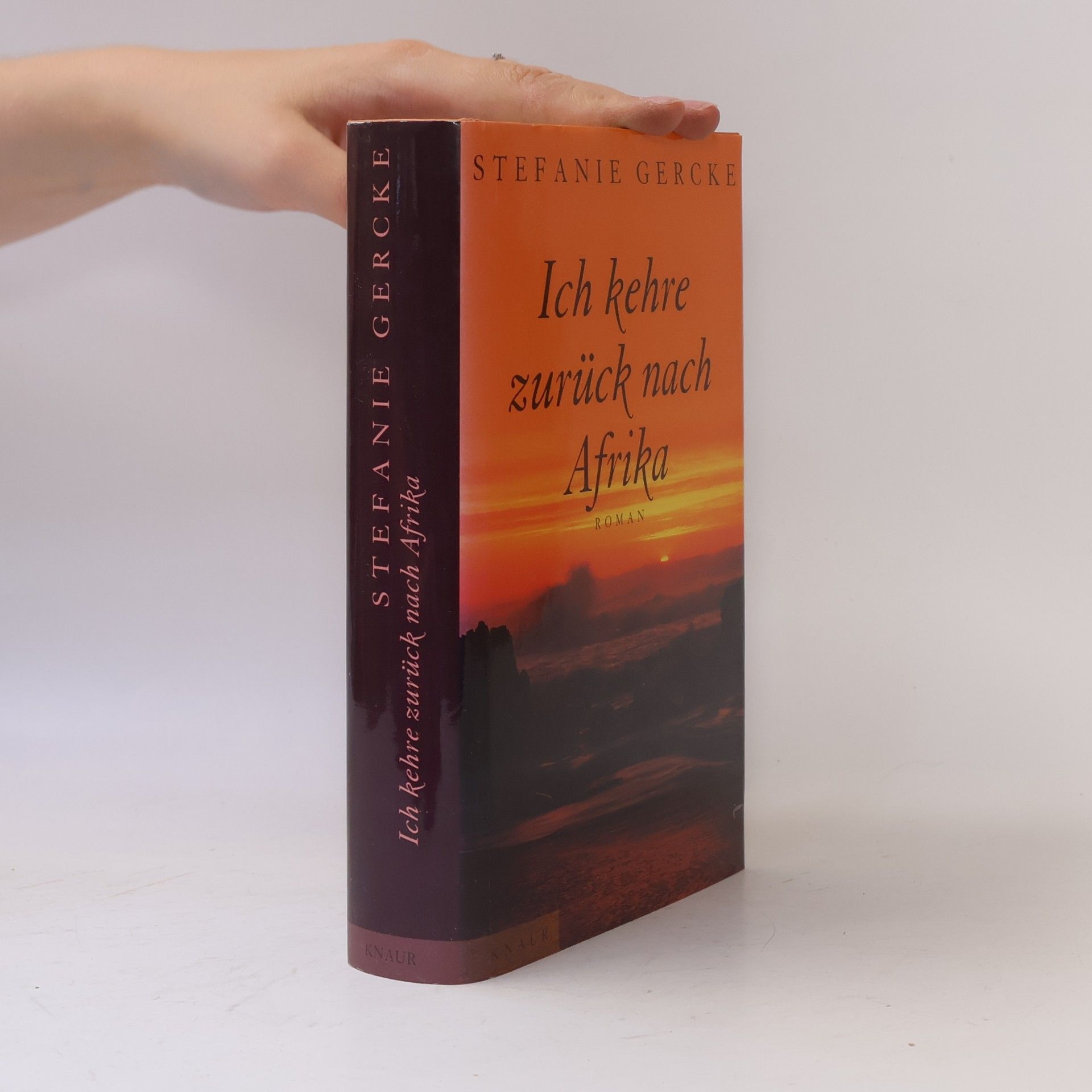 Stefanie Gercke Ich kehre zurück nach Afrika