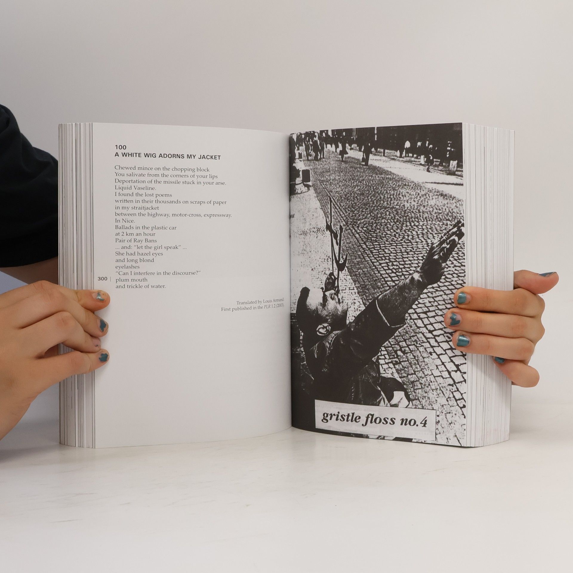 Louis Armand The Return of Král Majáles: Prague's International Literary Renaissance 1990-2010 - An Anthology