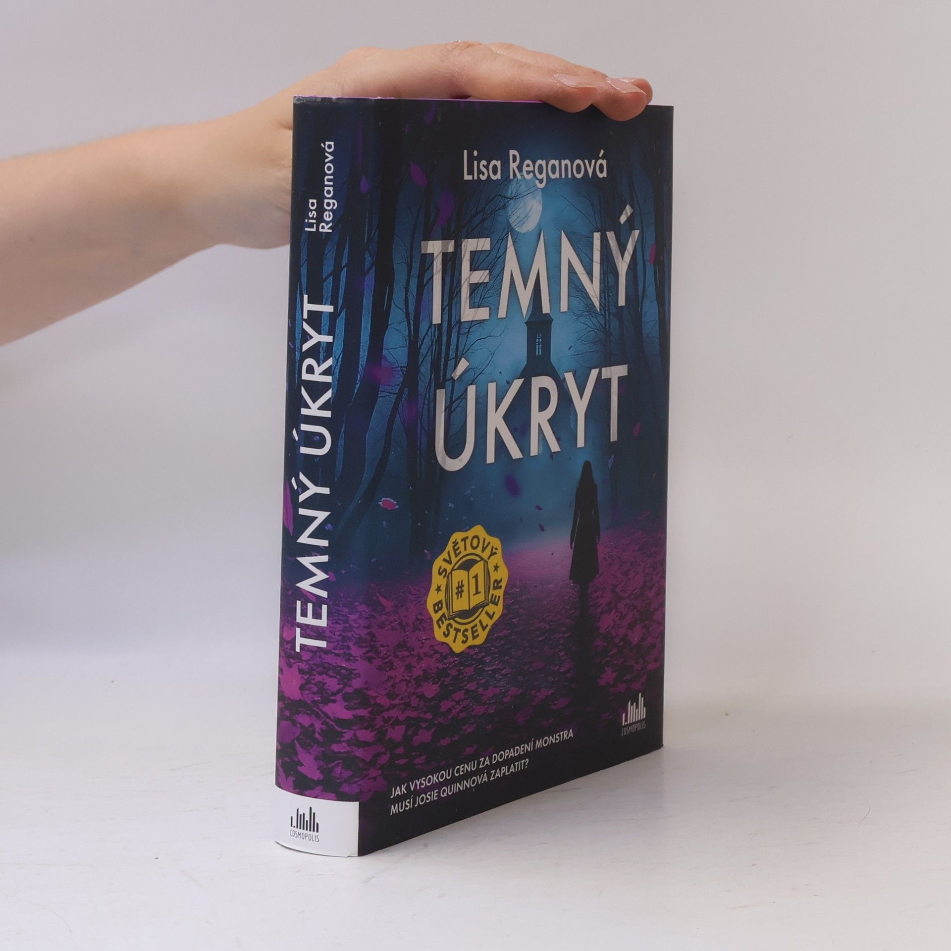 Lisa Regan Temný úkryt