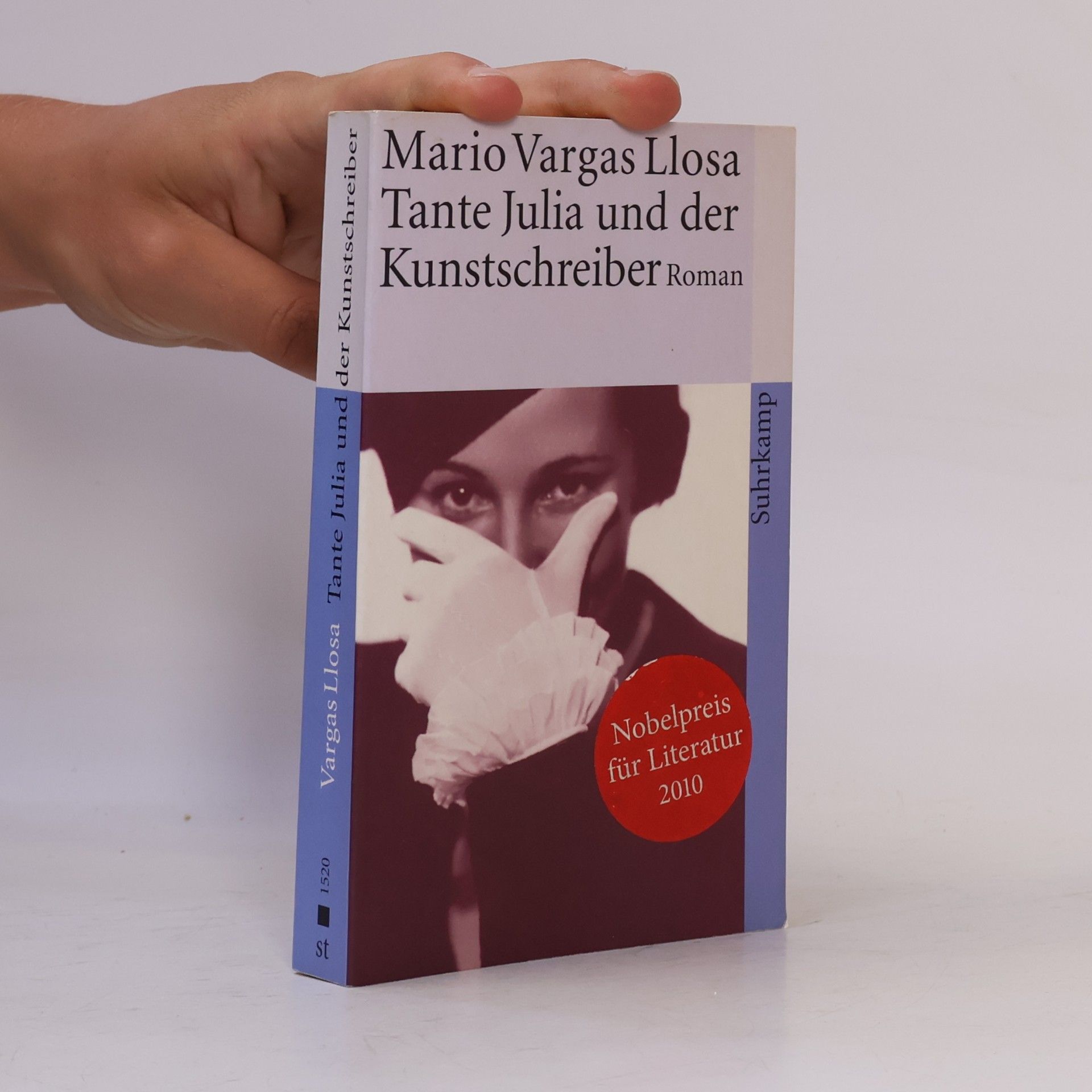 Mario Vargas Llosa Tante Julia und der Kunstschreiber