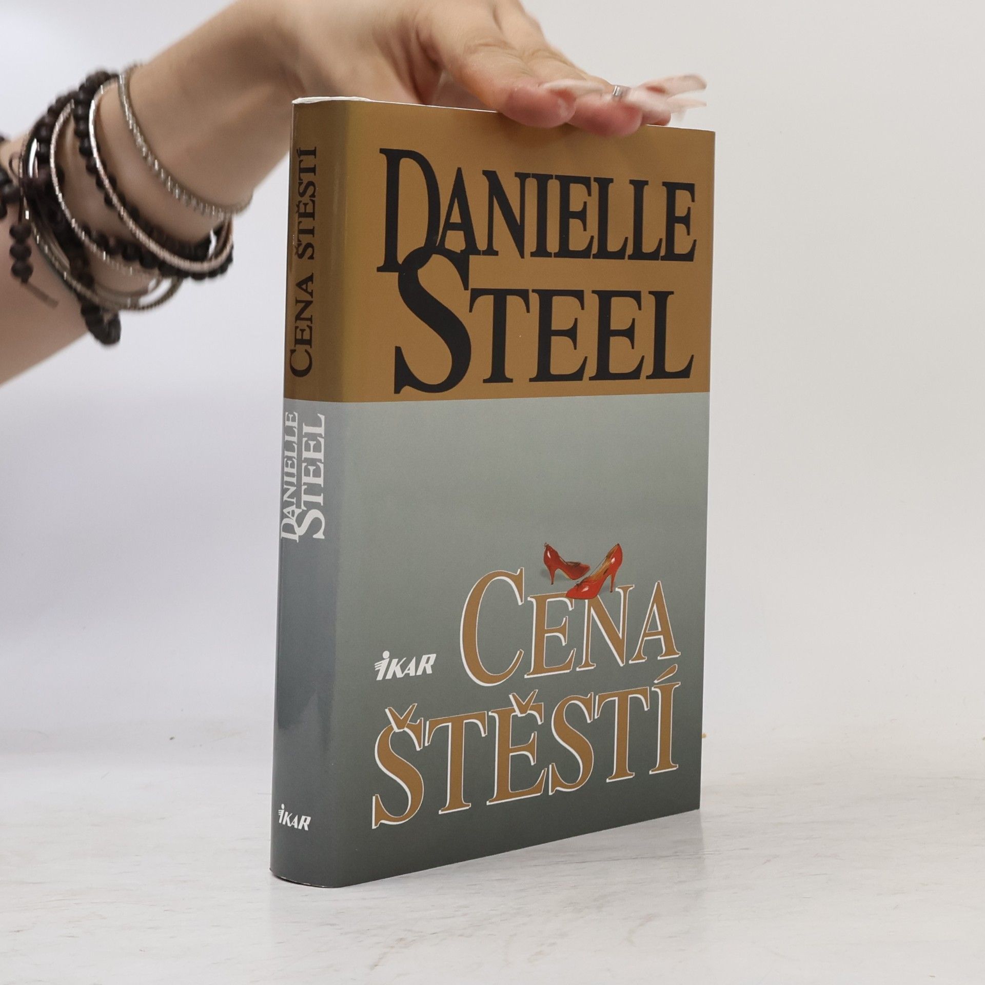 Danielle Steel Cena štěstí