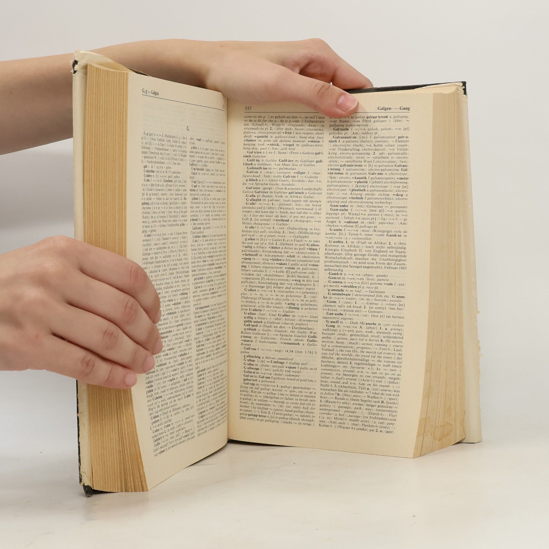 Karl Wildhagen English-German, German-English Dictionary