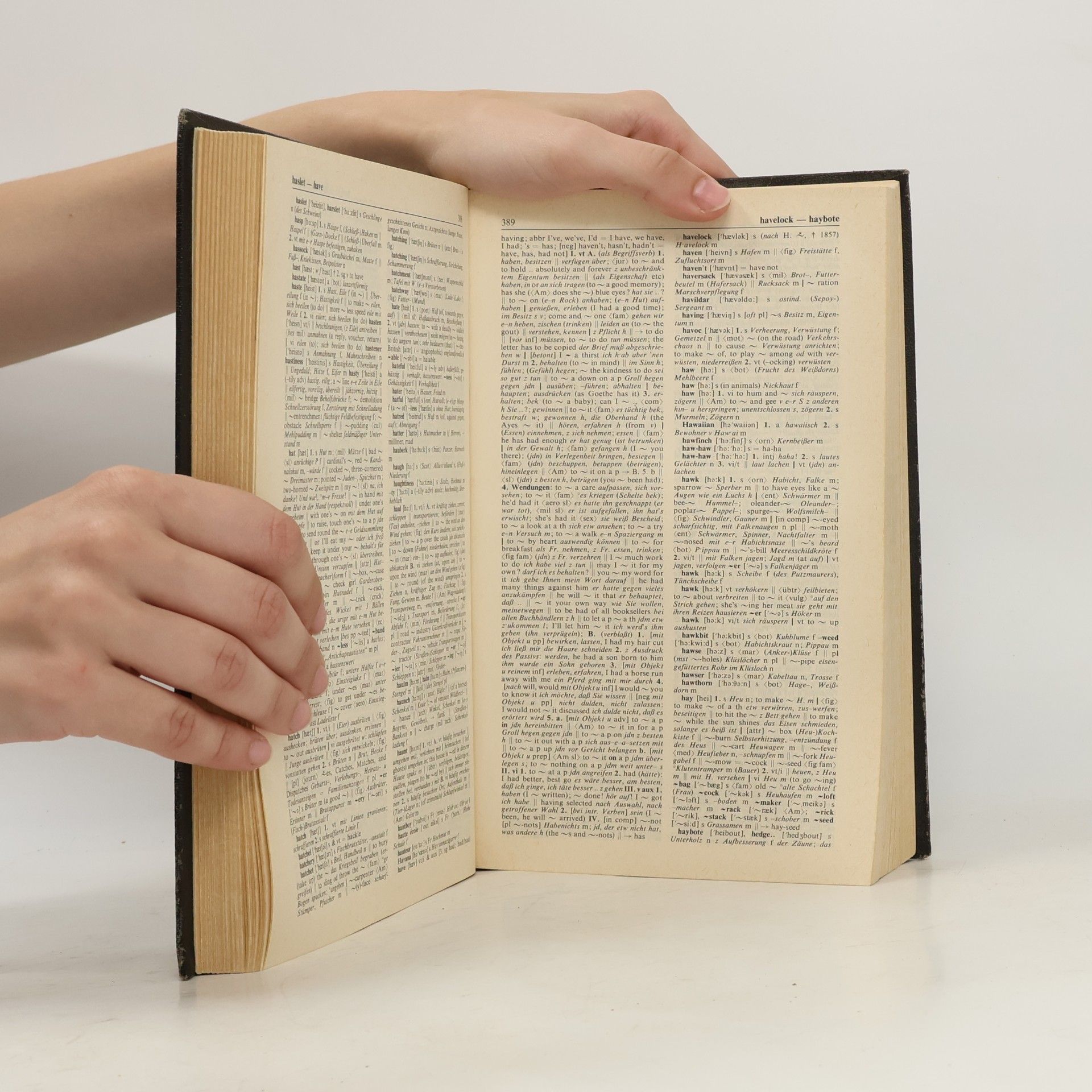 Karl Wildhagen English-German, German-English Dictionary