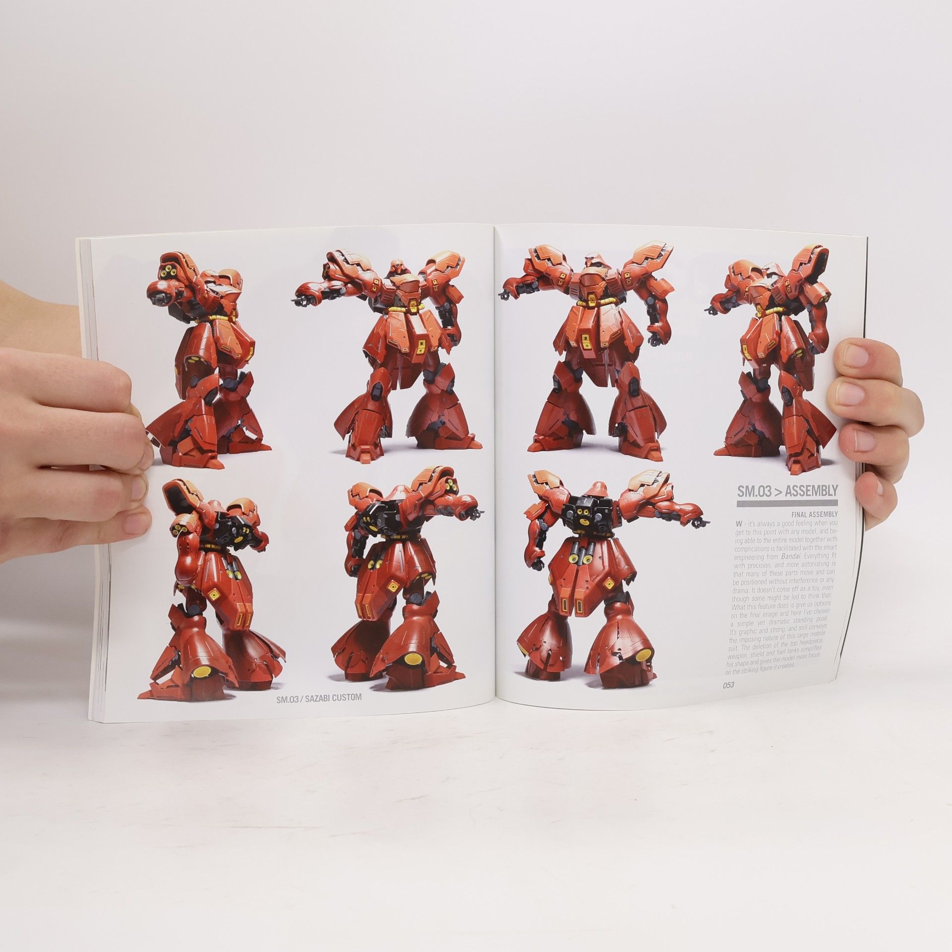 Michael Rinaldi Single Model - 3: Sazabi Custom