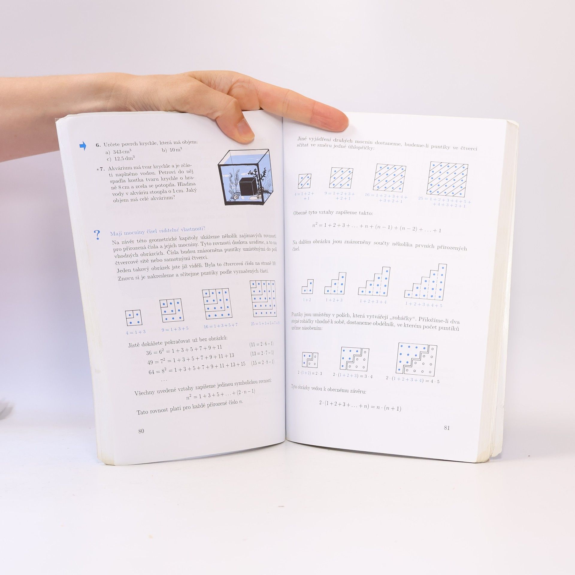 Lucie Václavíková Matematika Výrazy 1