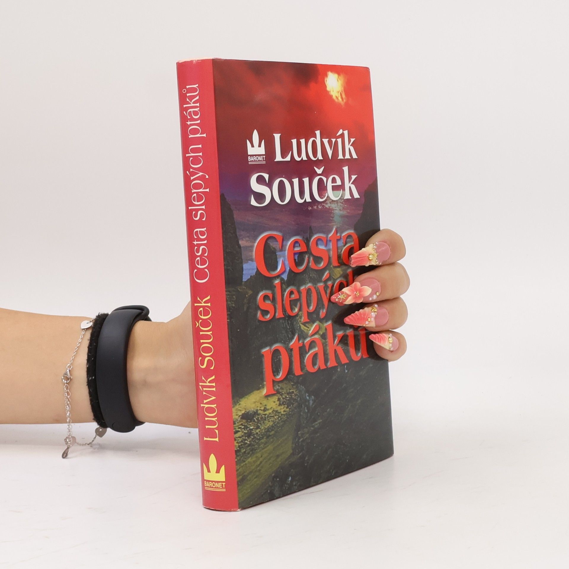 Ludvík Souček Cesta slepých ptáků