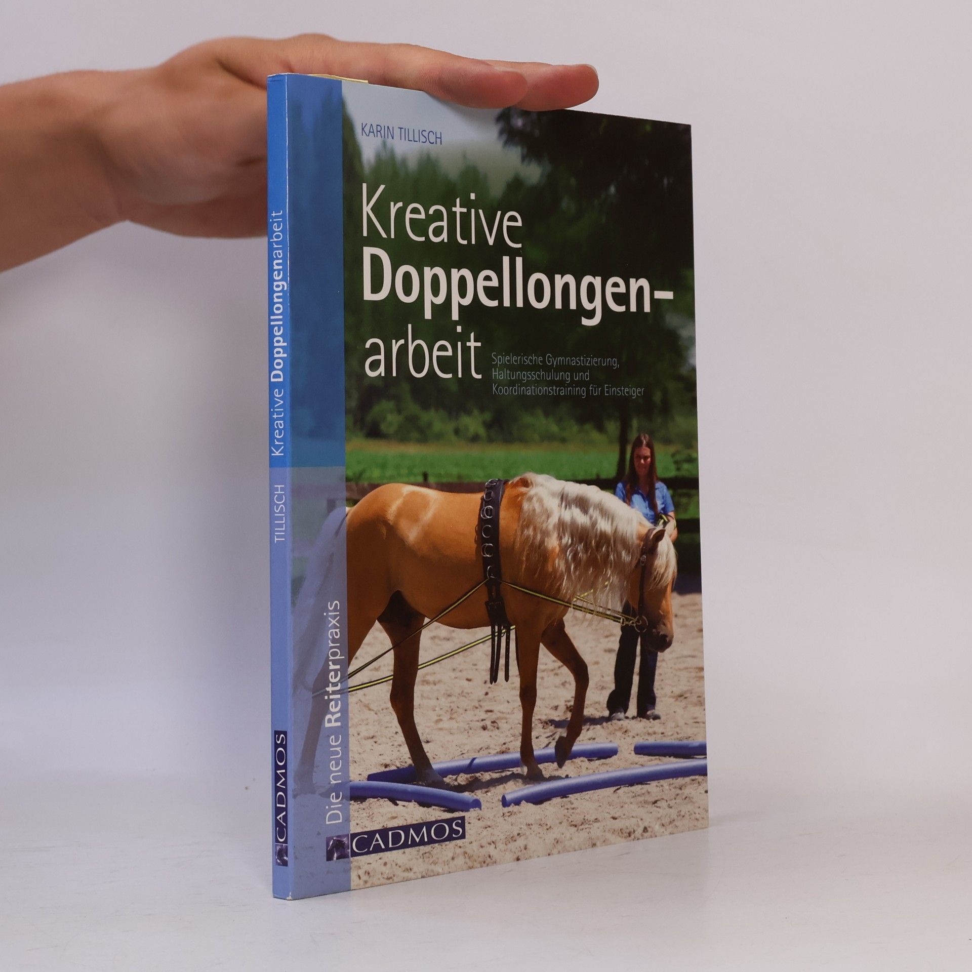 Karin Tillisch Kreative Doppellongenarbeit