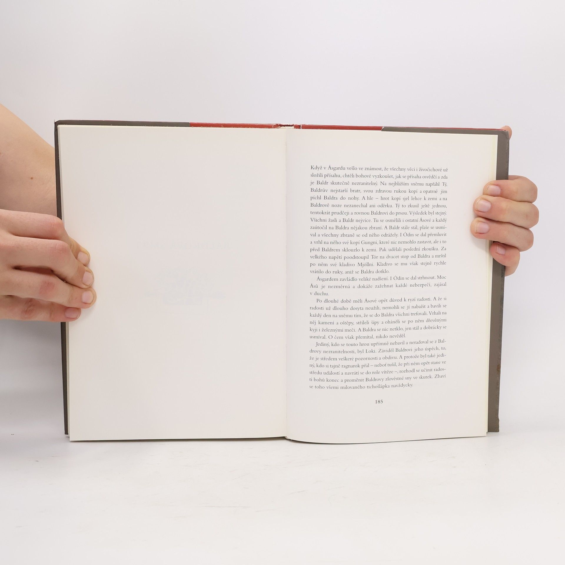 Autorenkollektiv Soumrak bohů. Severské mýty a báje