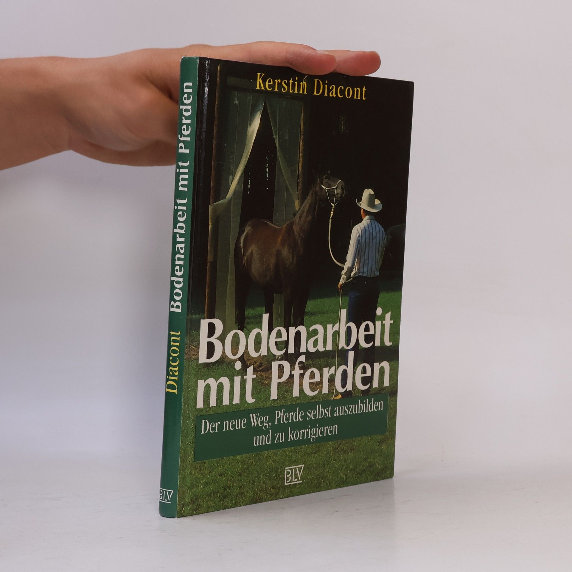 Kerstin Diacont Bodenarbeit mit Pferden