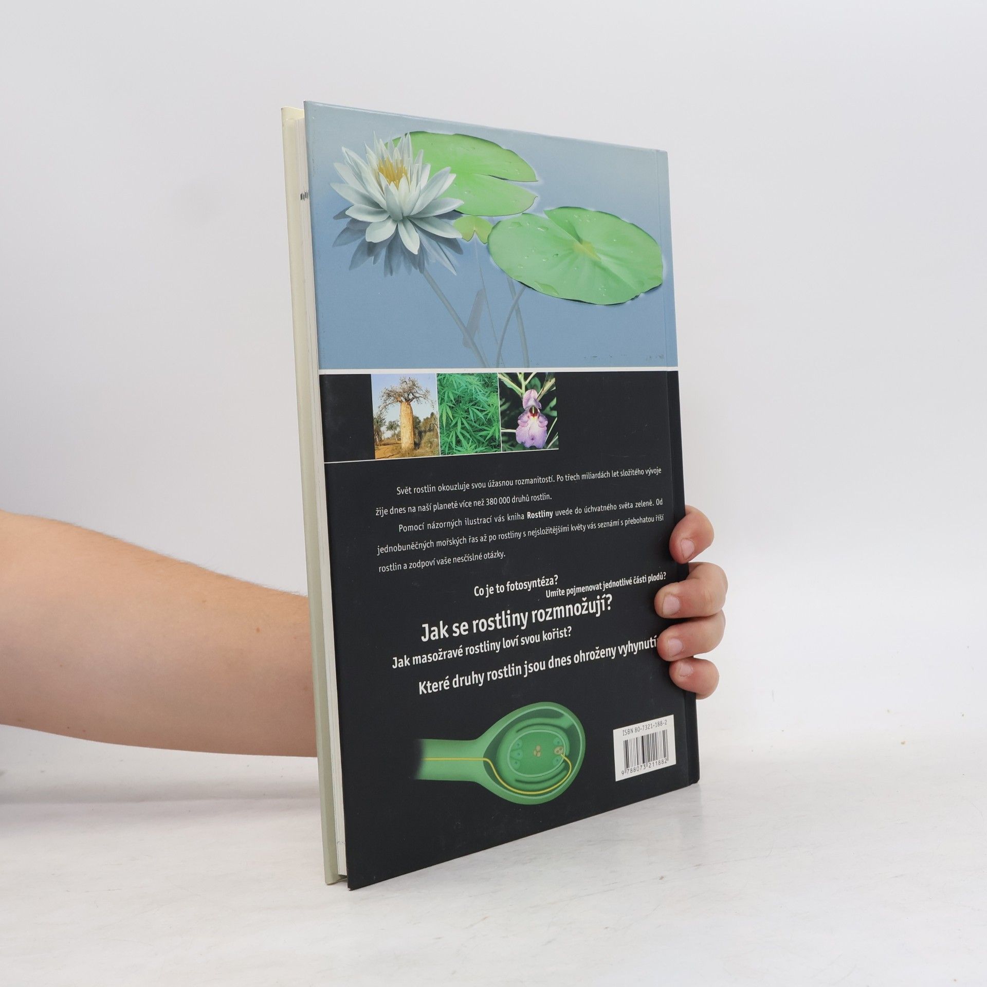Various authors Rostliny. Seznamte se s rozmanitostí rostlinného světa
