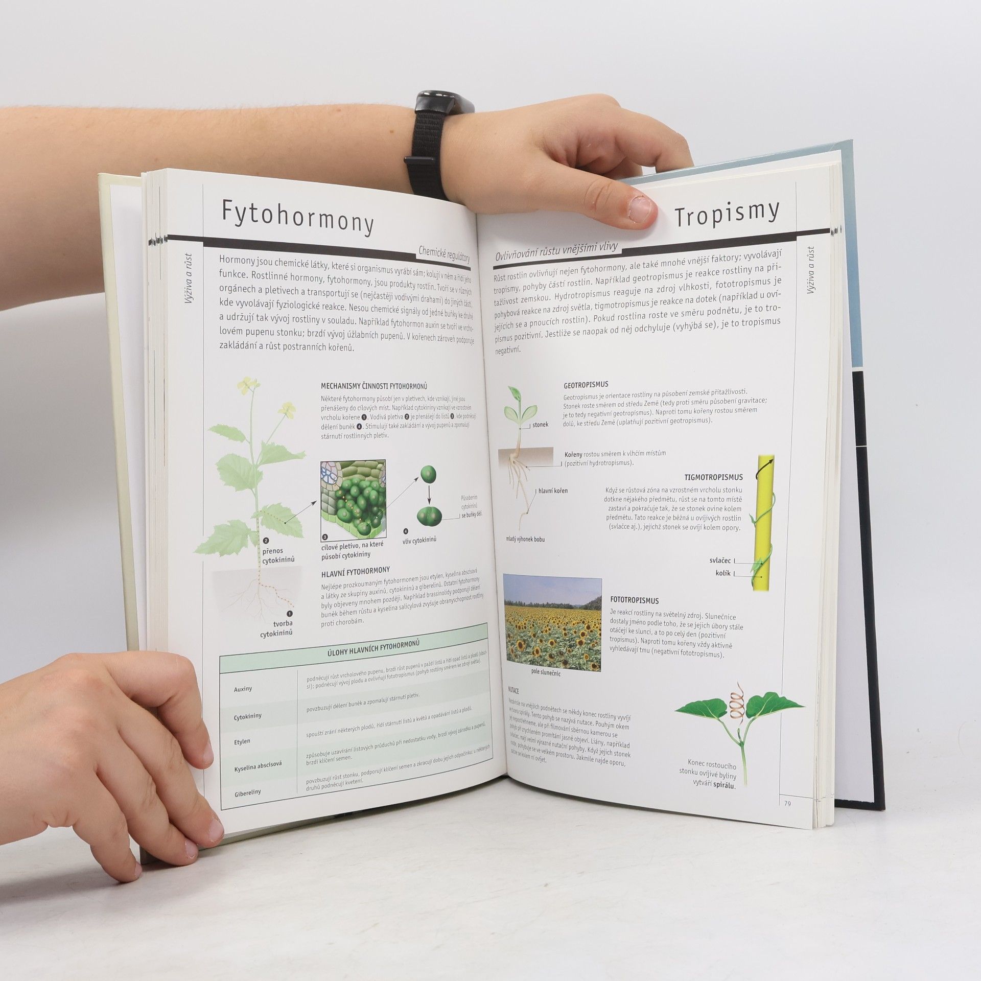 Various authors Rostliny. Seznamte se s rozmanitostí rostlinného světa