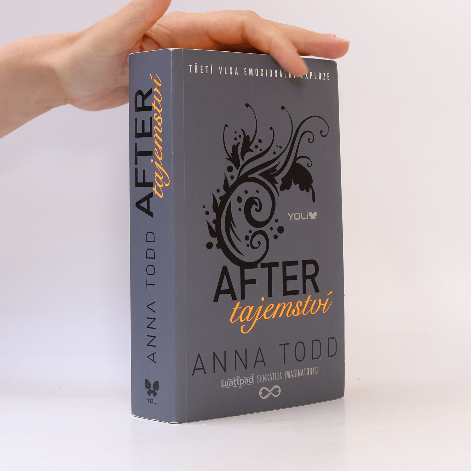 Anna Todd After. Tajemství