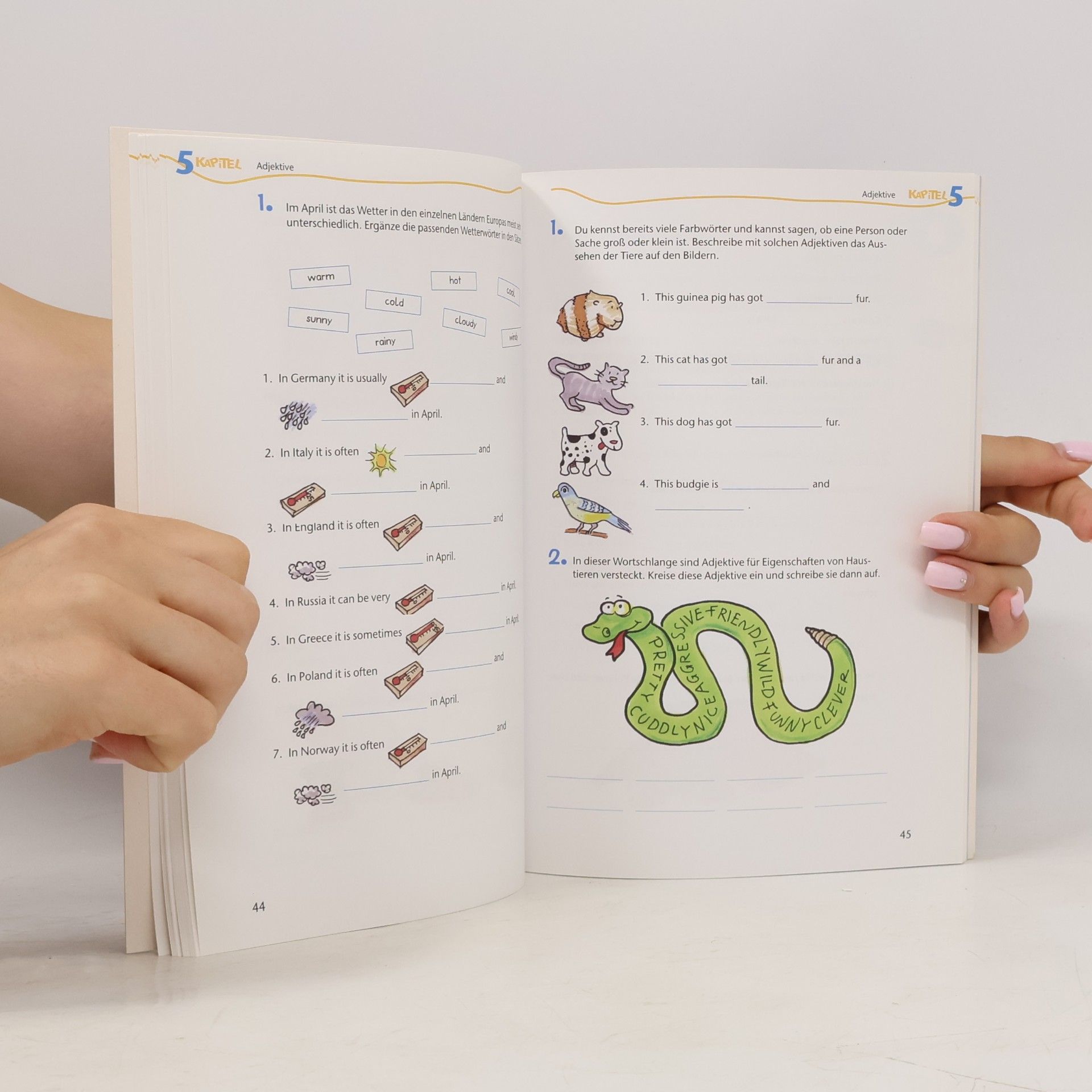 Collectif d'auteurs Schlauer Lernen Englisch 5. Klasse Grammatik