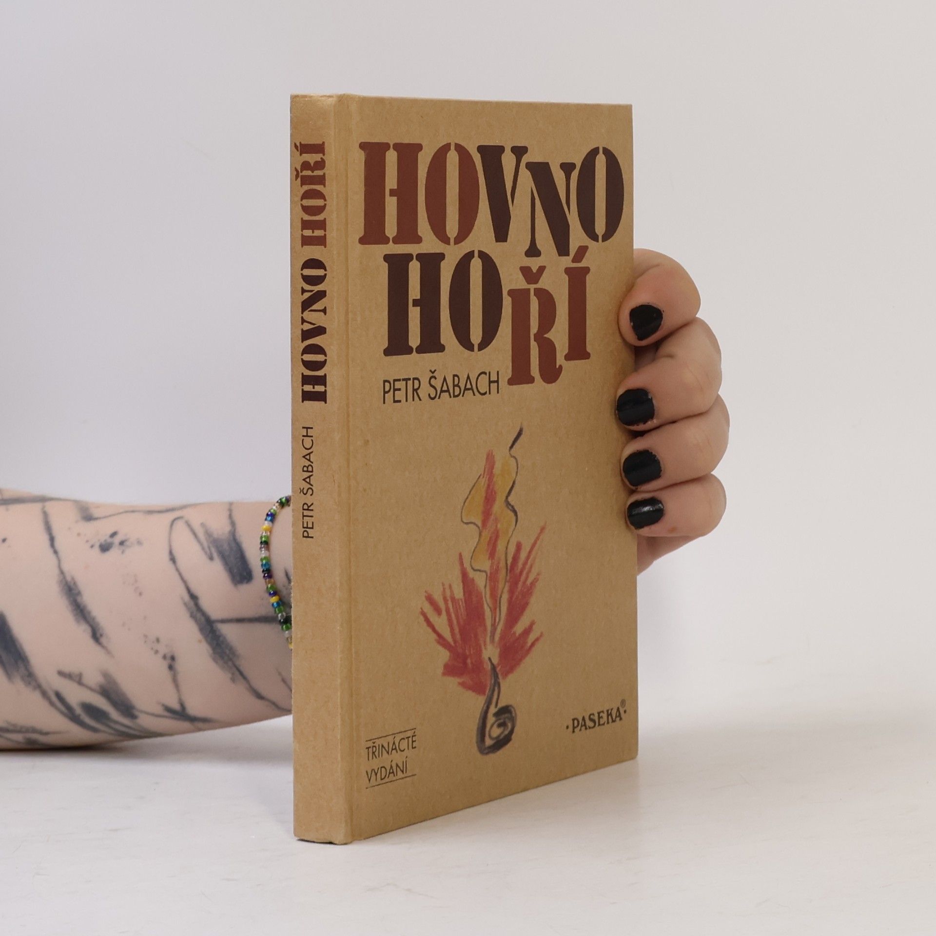 Petr Šabach Hovno hoří