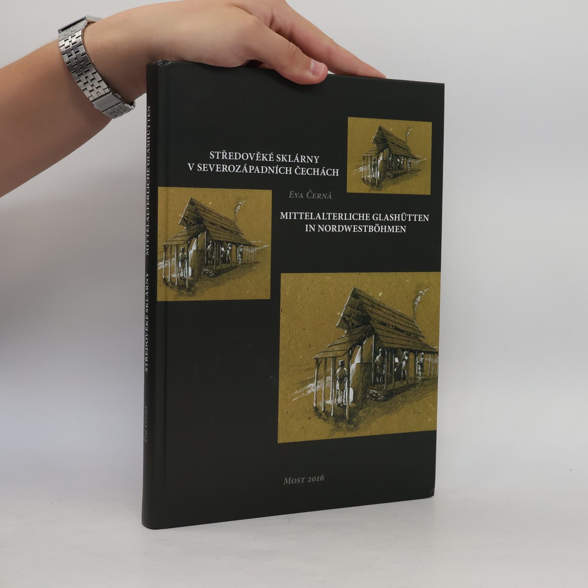 Eva Černá Středověké sklárny v severozápadních Čechách = Mittelalterliche Glashütten in Nordwestböhmen