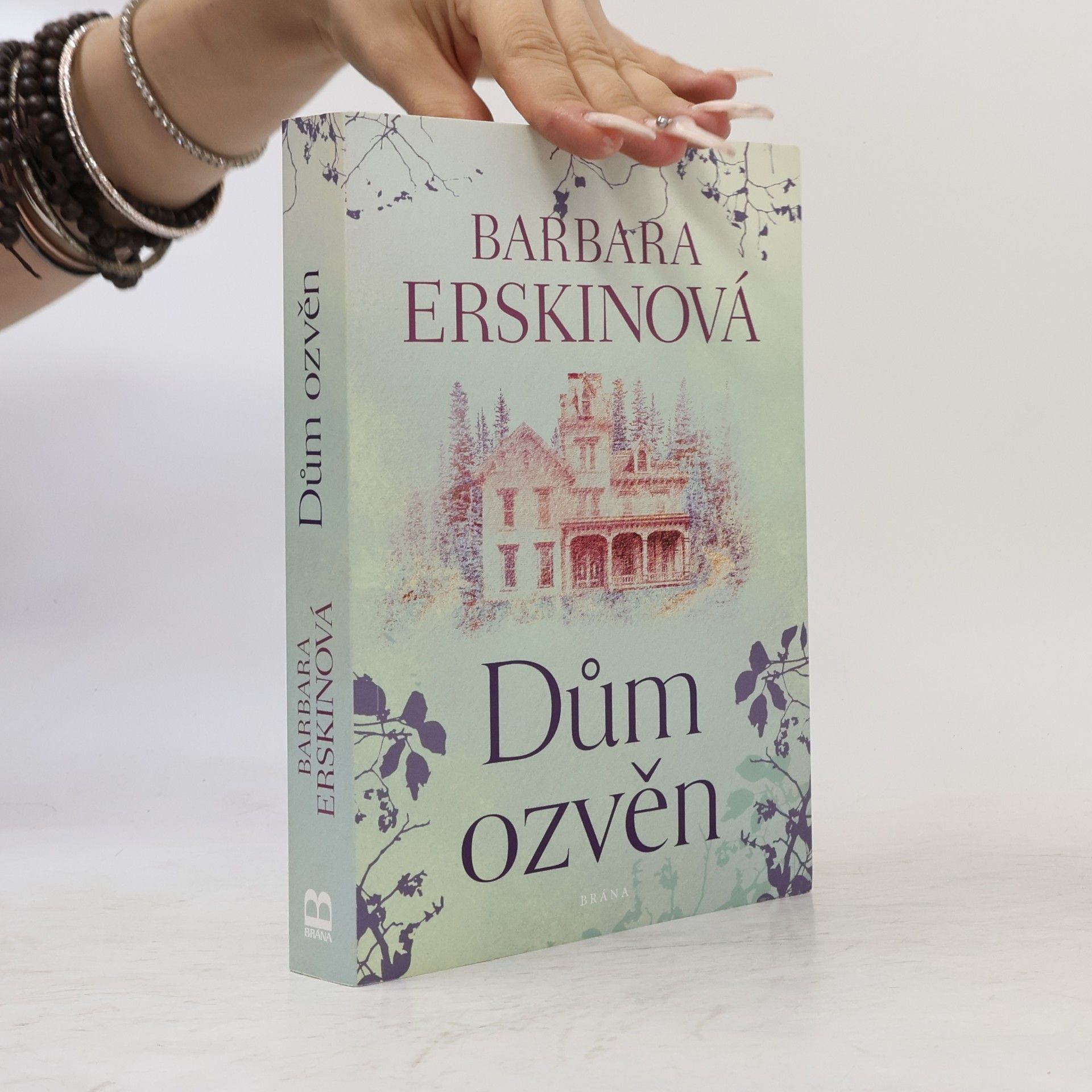 Barbara Erskine Dům ozvěn