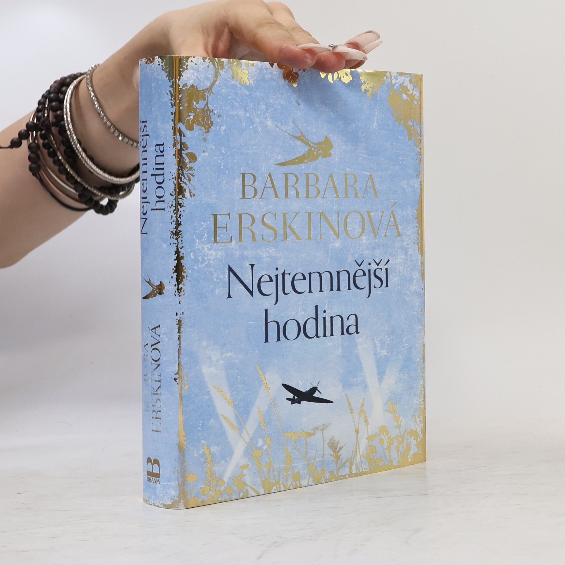 Barbara Erskinová Nejtemnější hodina