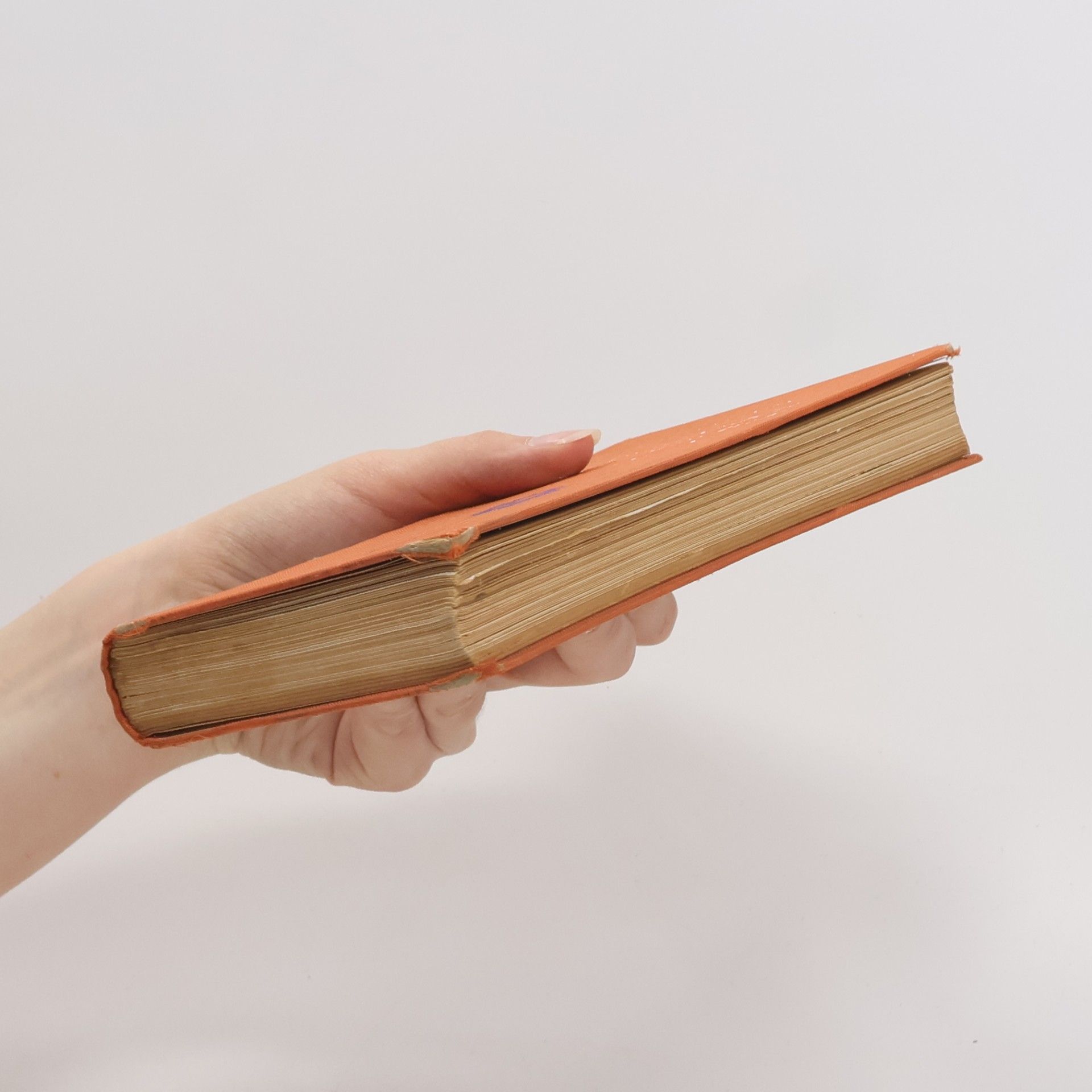 Albert Christiansen Taschenbuch einheimischer Pflanzen