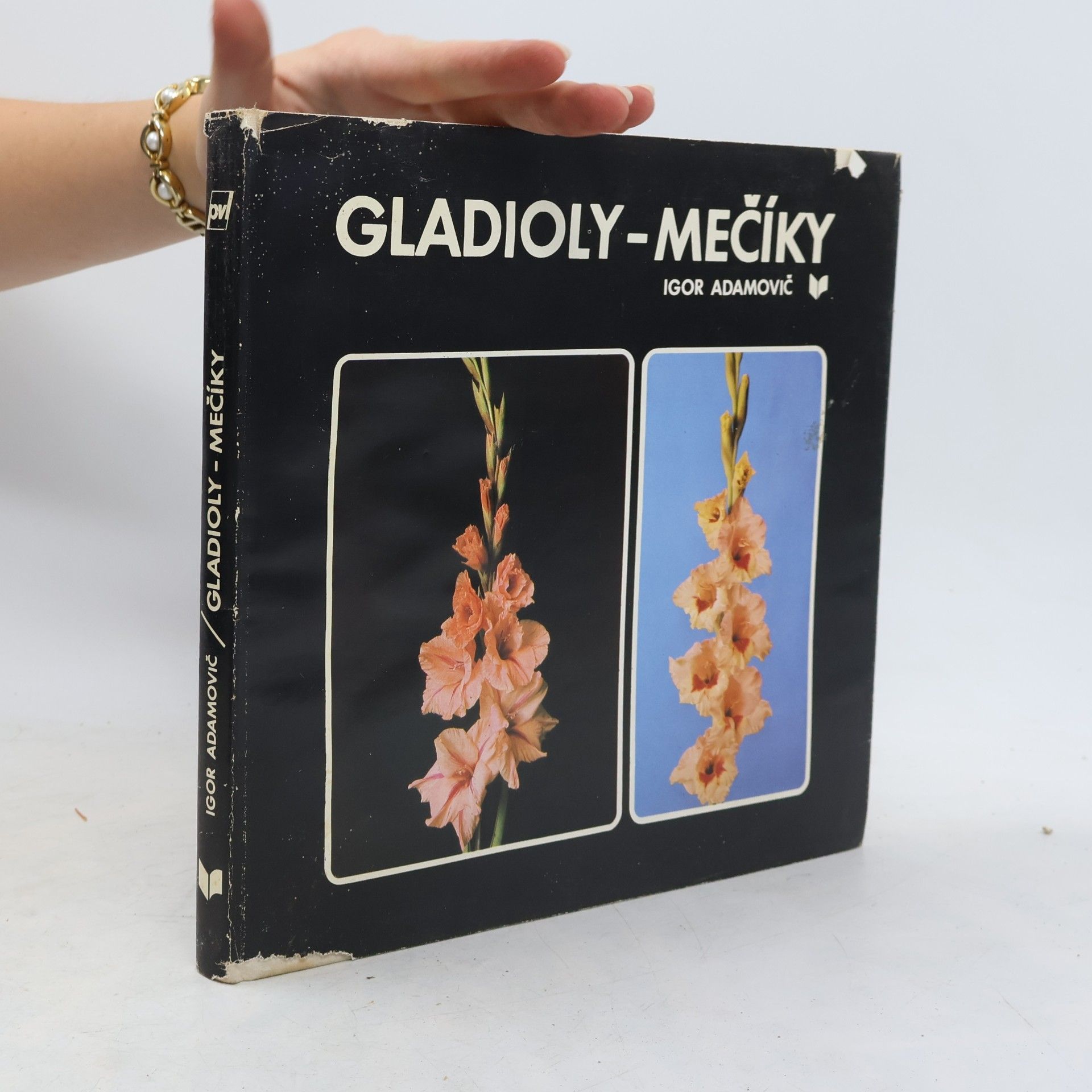 Igor Adamovič Gladioly-mečíky