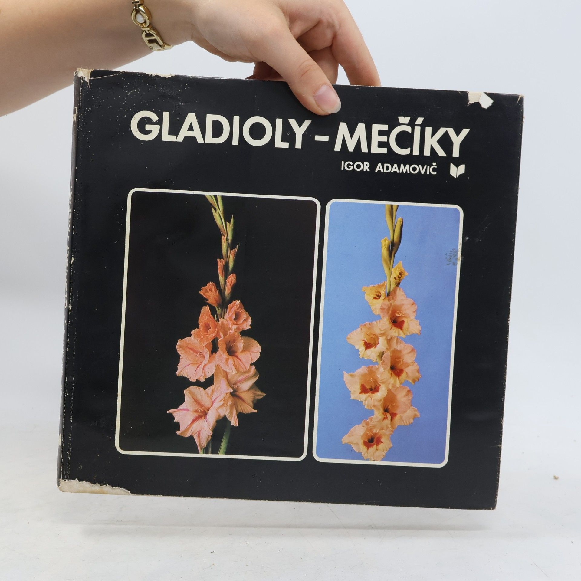 Igor Adamovič Gladioly-mečíky