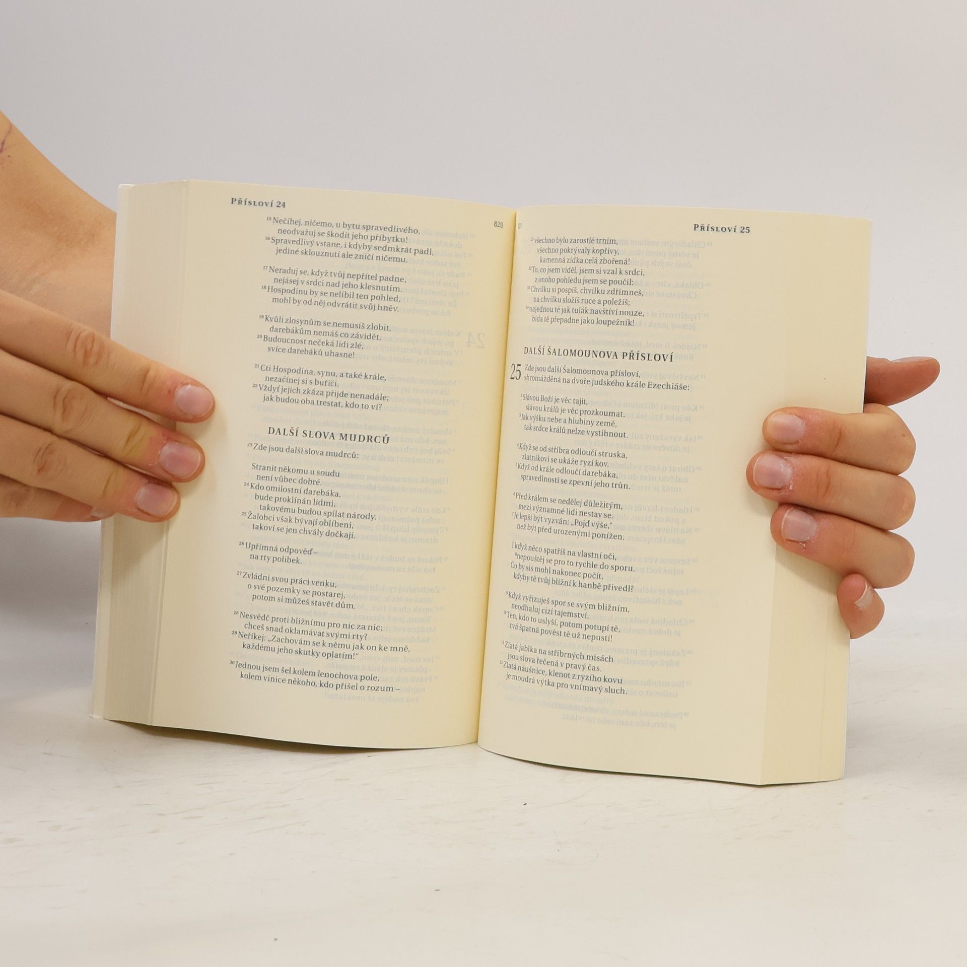 Kolektiv autorů Bible : překlad 21. století