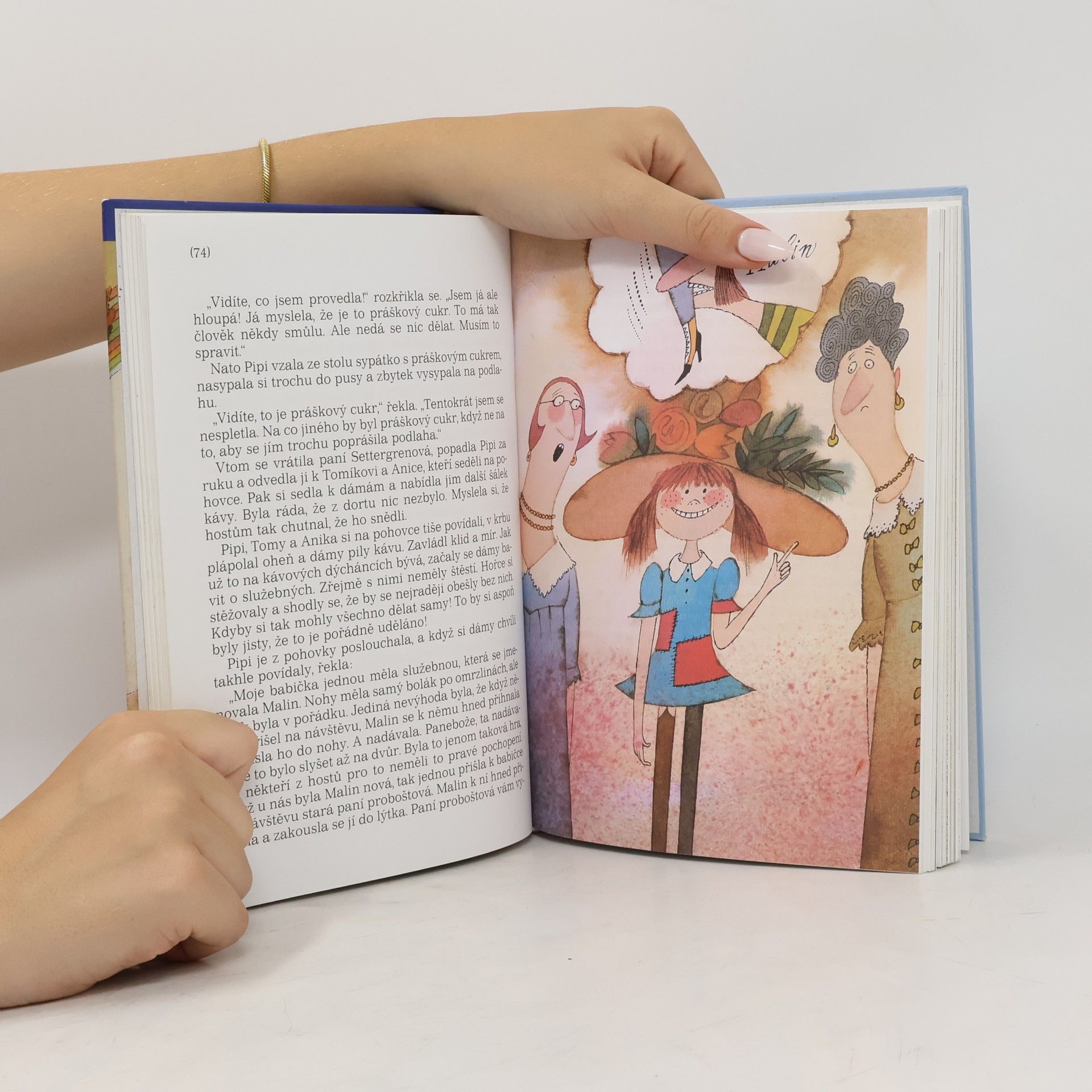 Astrid Lindgren Pipi Dlouhá punčocha