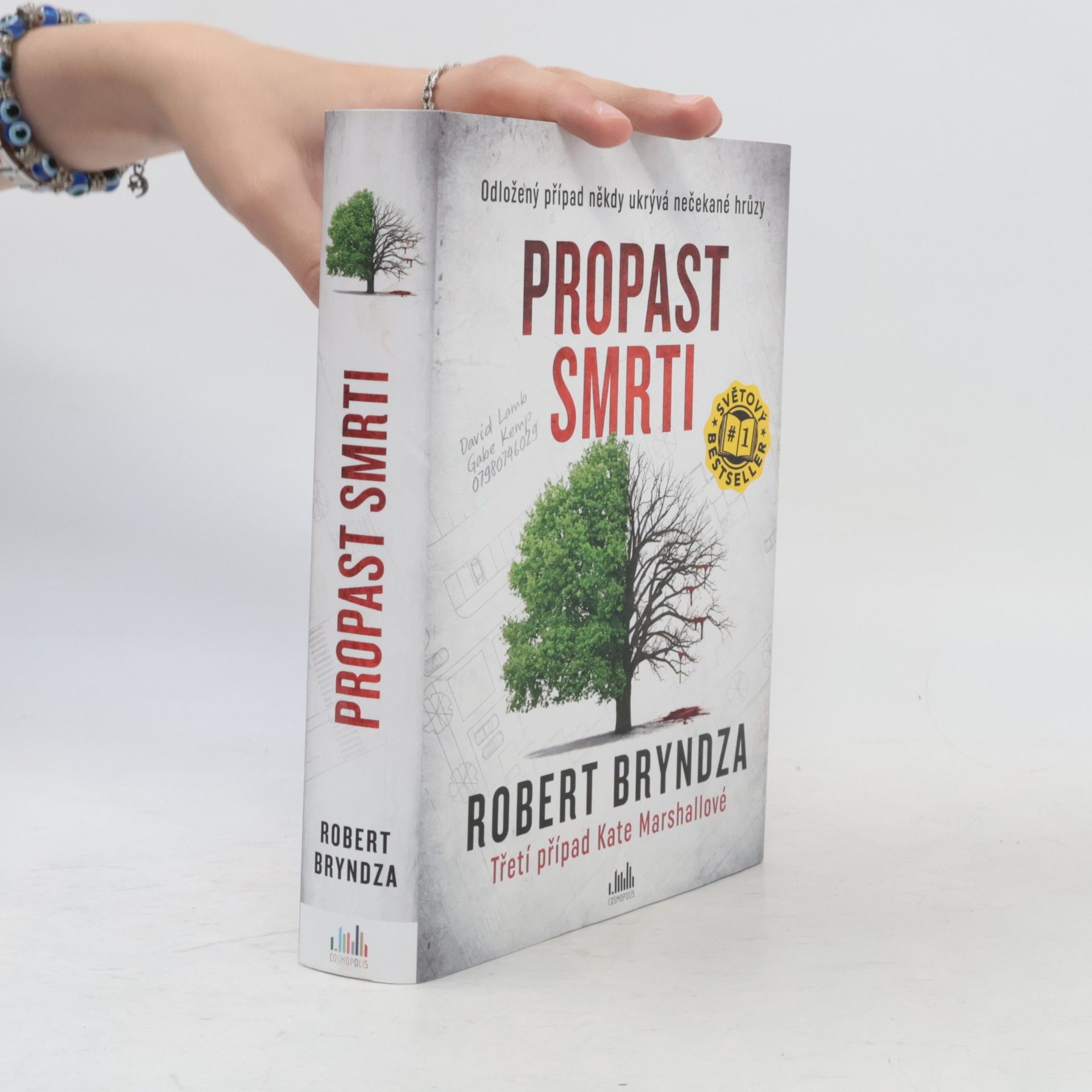 Robert Bryndza Propast smrti