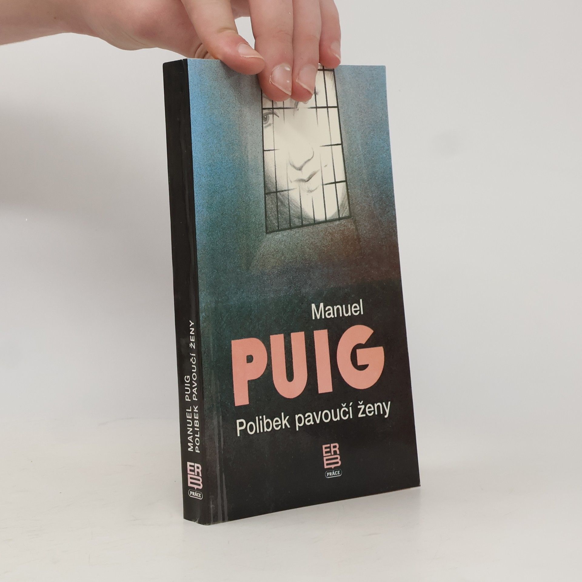 Manuel Puig Polibek pavoučí ženy
