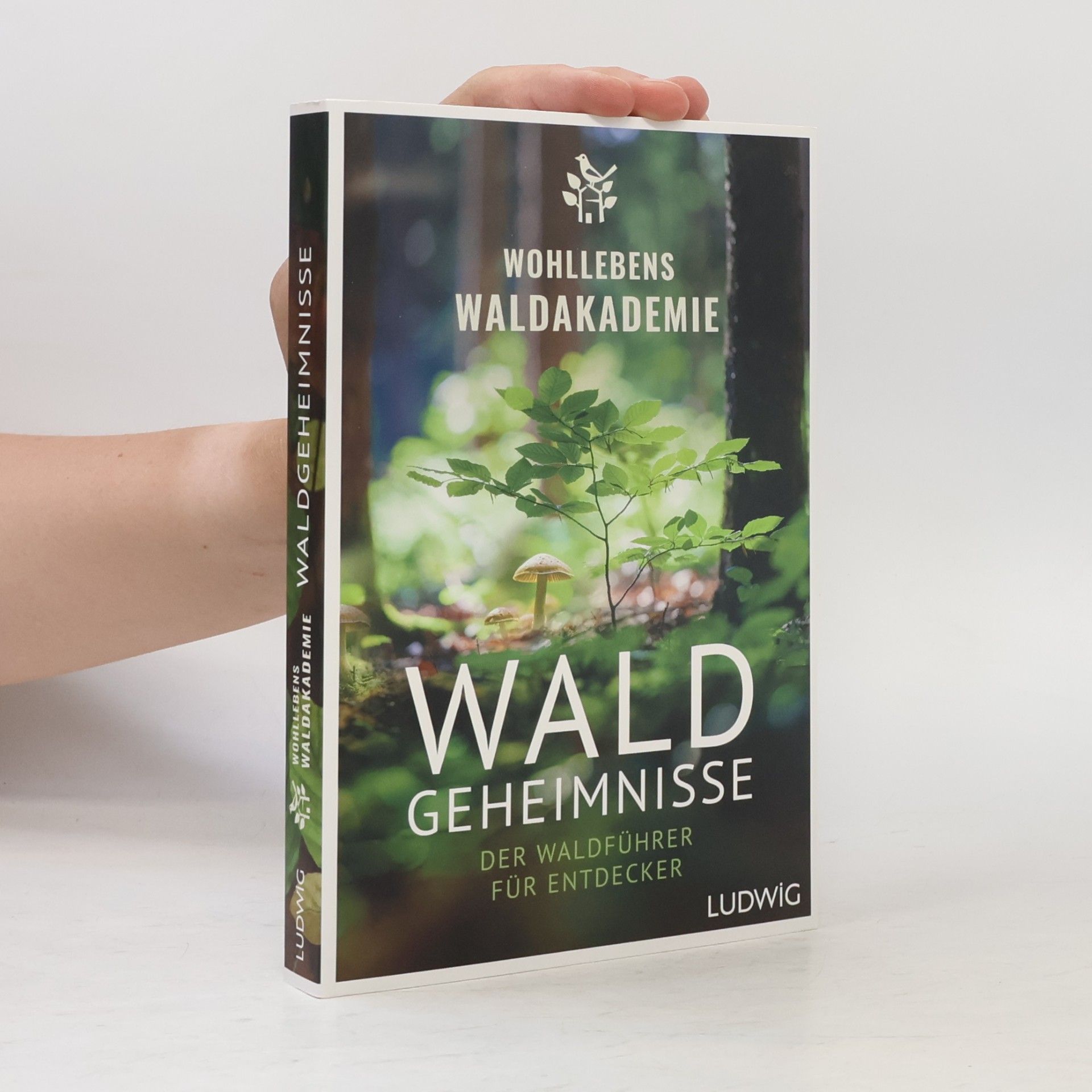 Wohllebens Waldakademie Waldgeheimnisse