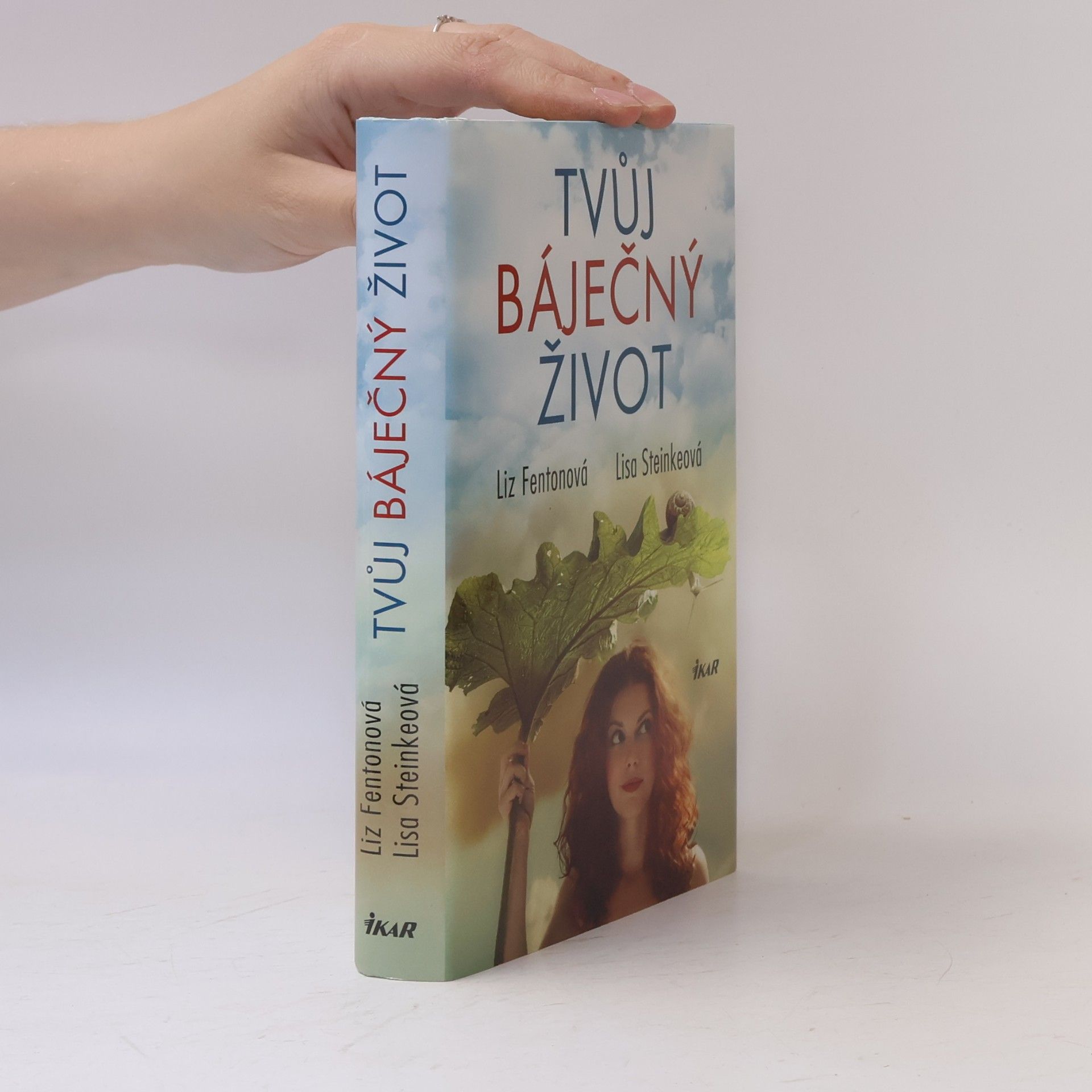 Lisa Steinke Tvůj báječný život