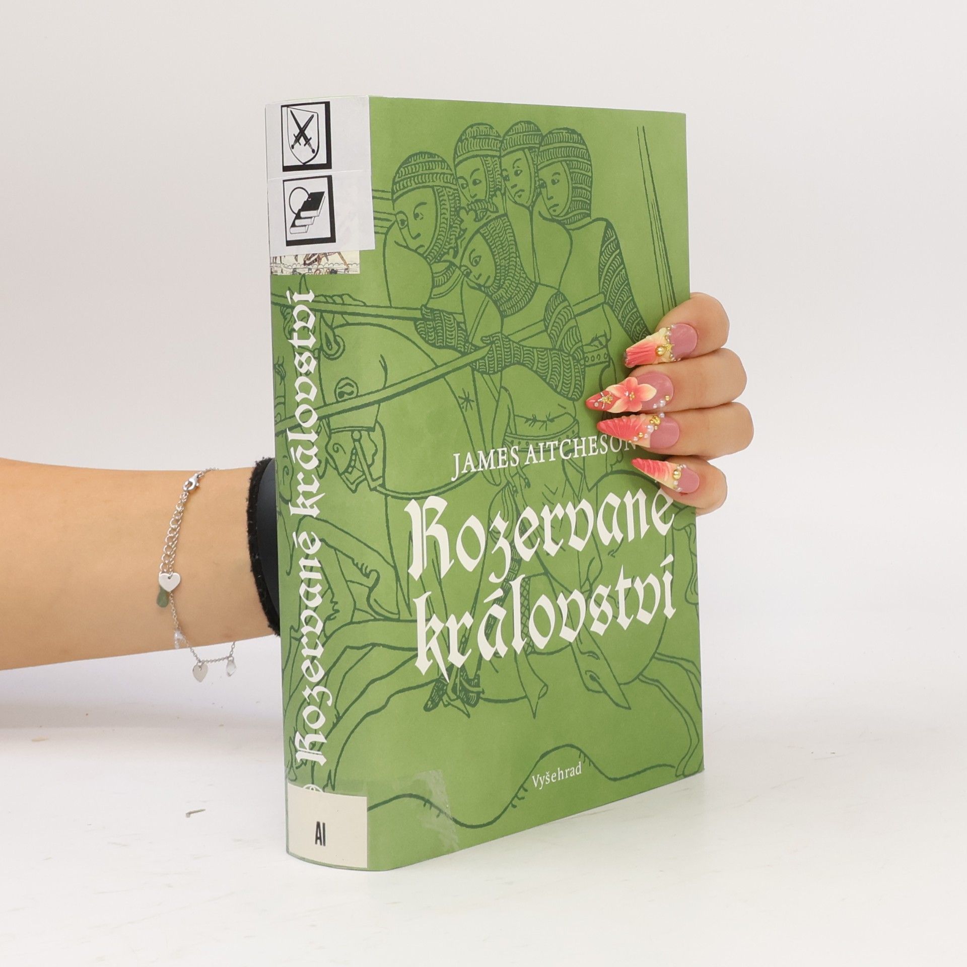James Aitcheson Rozervané království