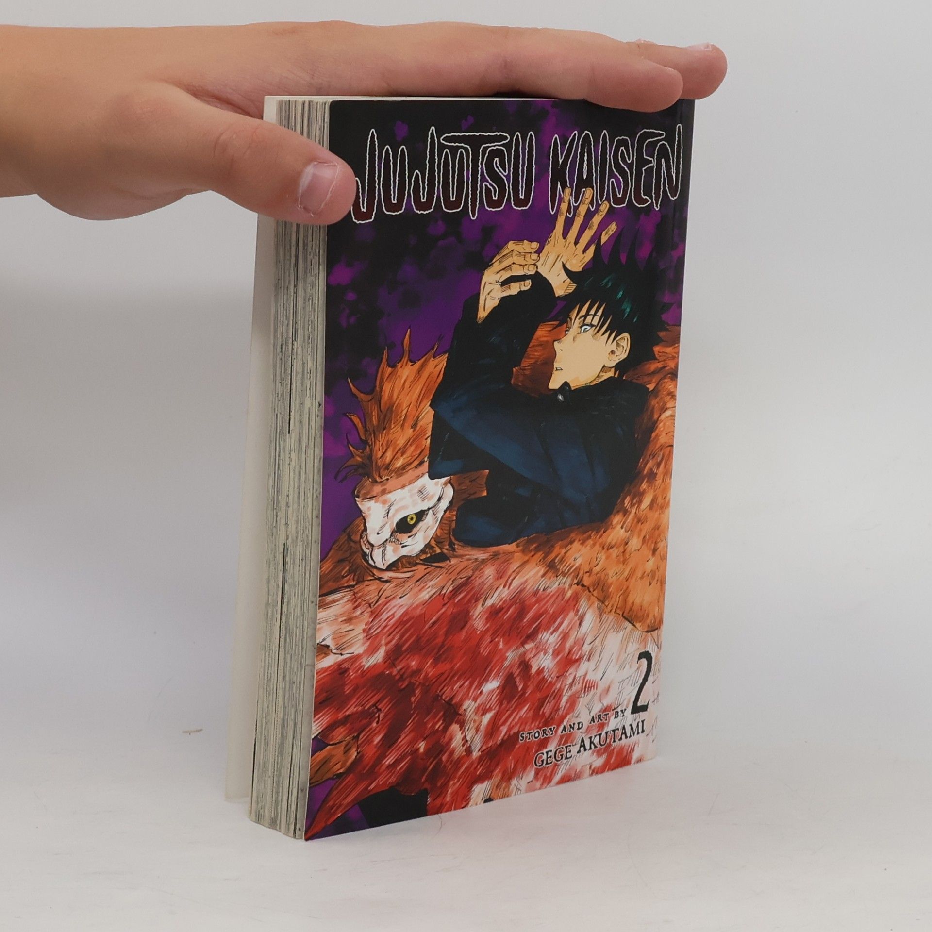 Gege Akutami Jujutsu Kaisen Volume 2