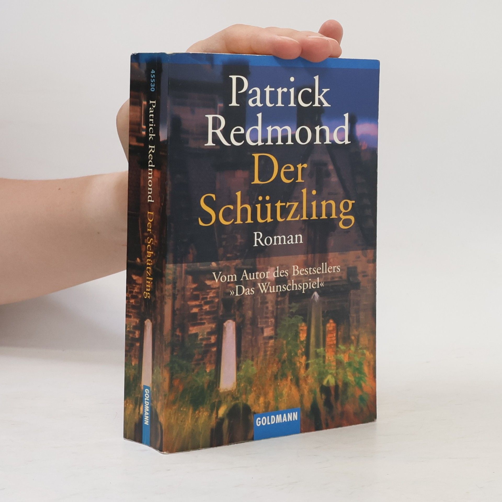 Patrick Redmond Der Schützling.