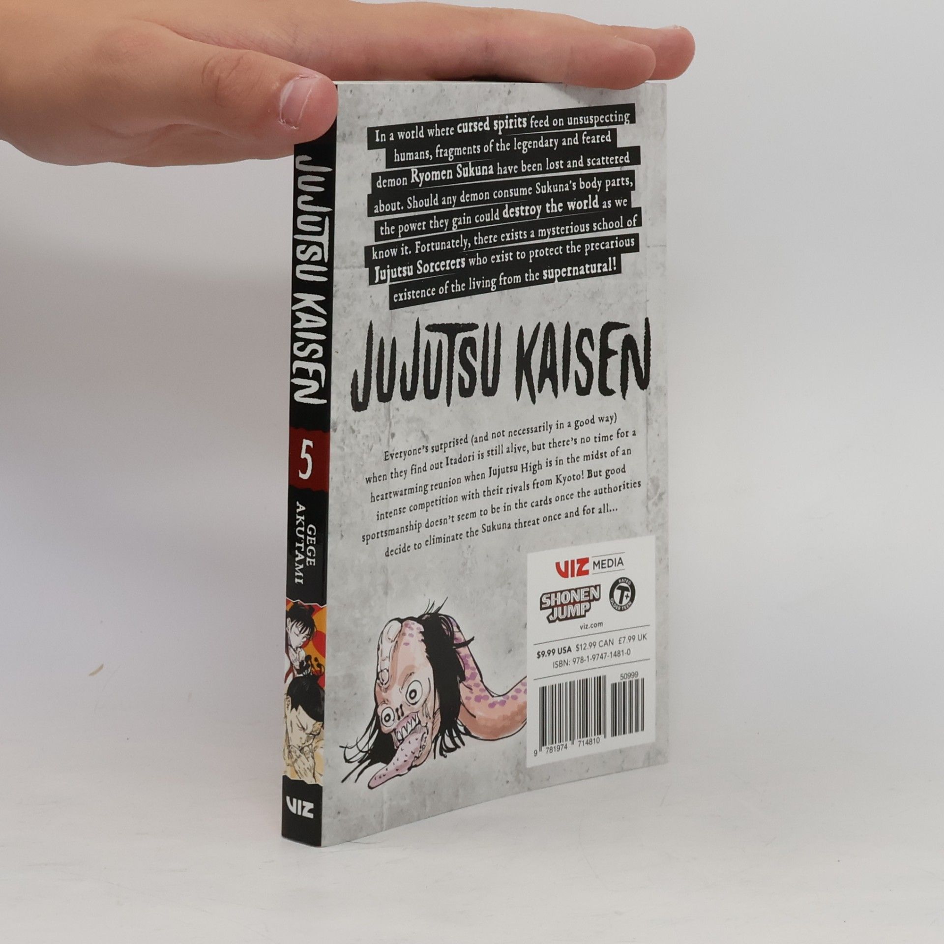 Gege Akutami Jujutsu Kaisen. IV