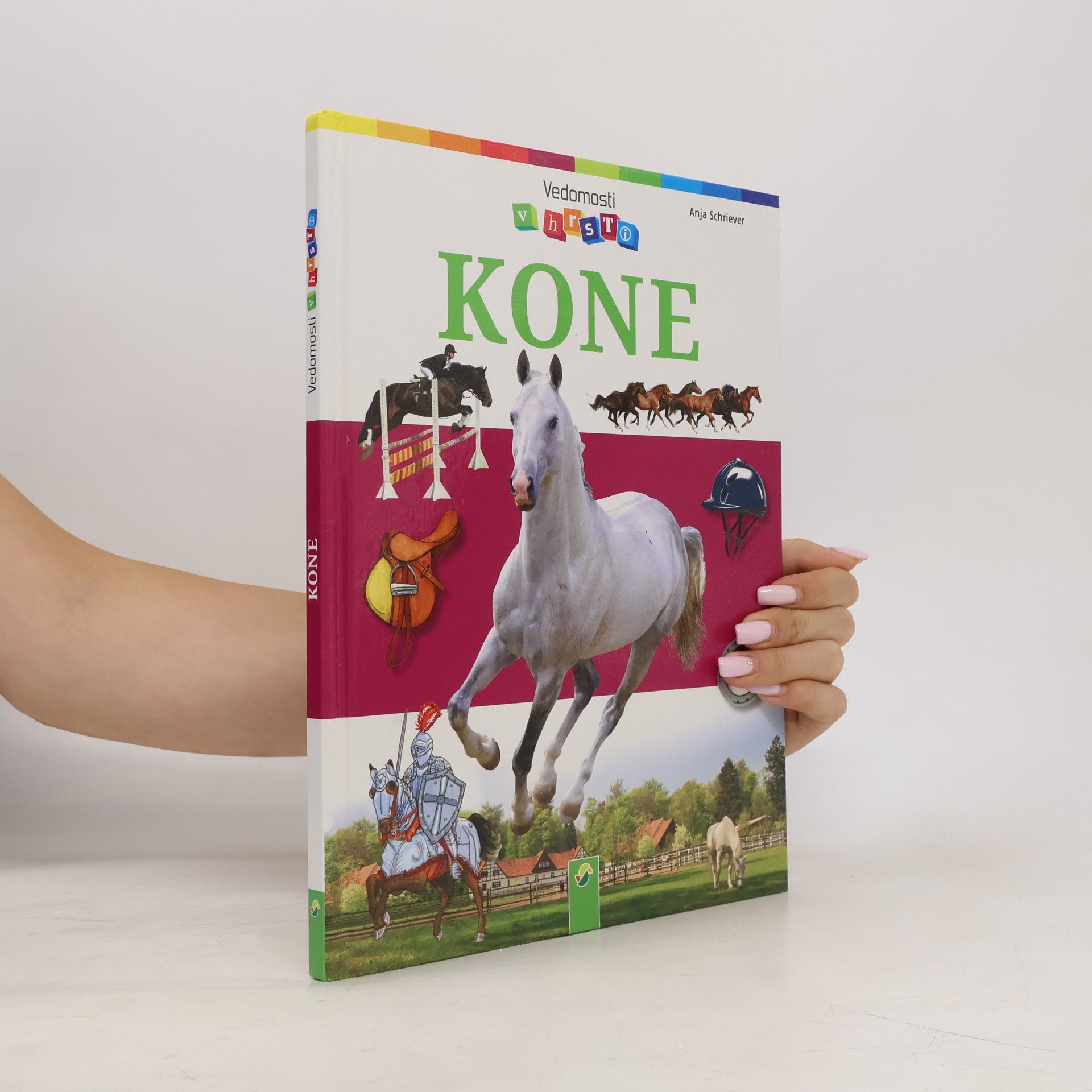 Anja Schriever Kone