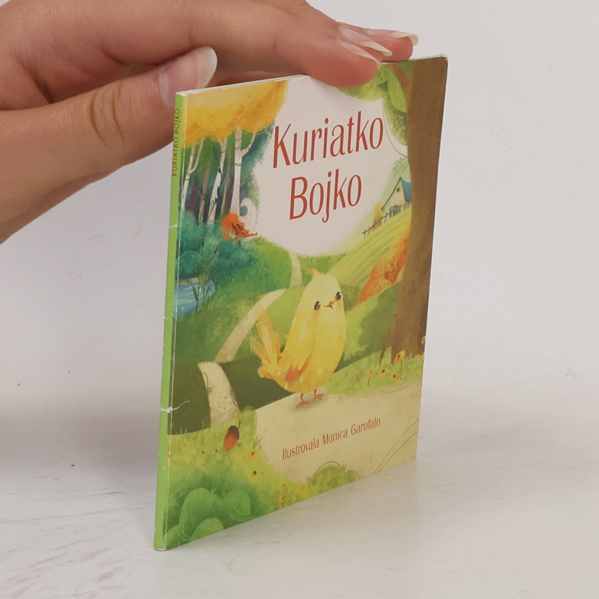 Kolektiv autorů Kuriatko Bojko