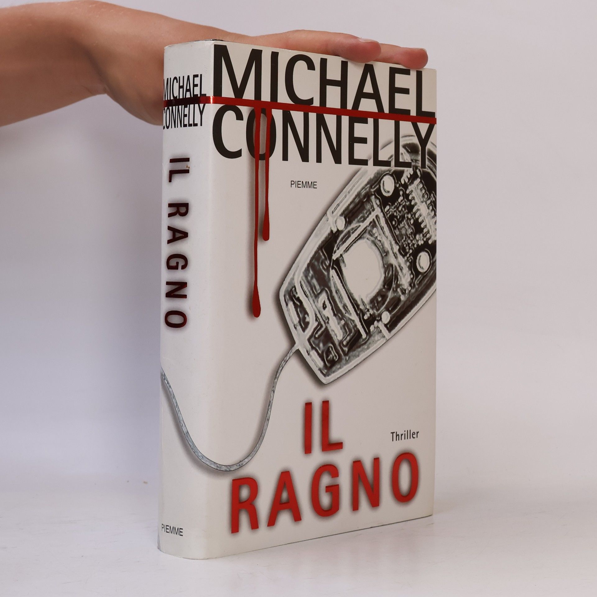 Il ragno