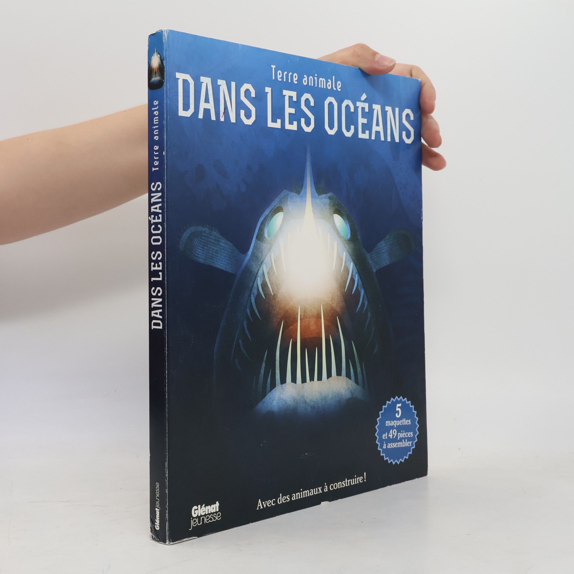 Dans les océans