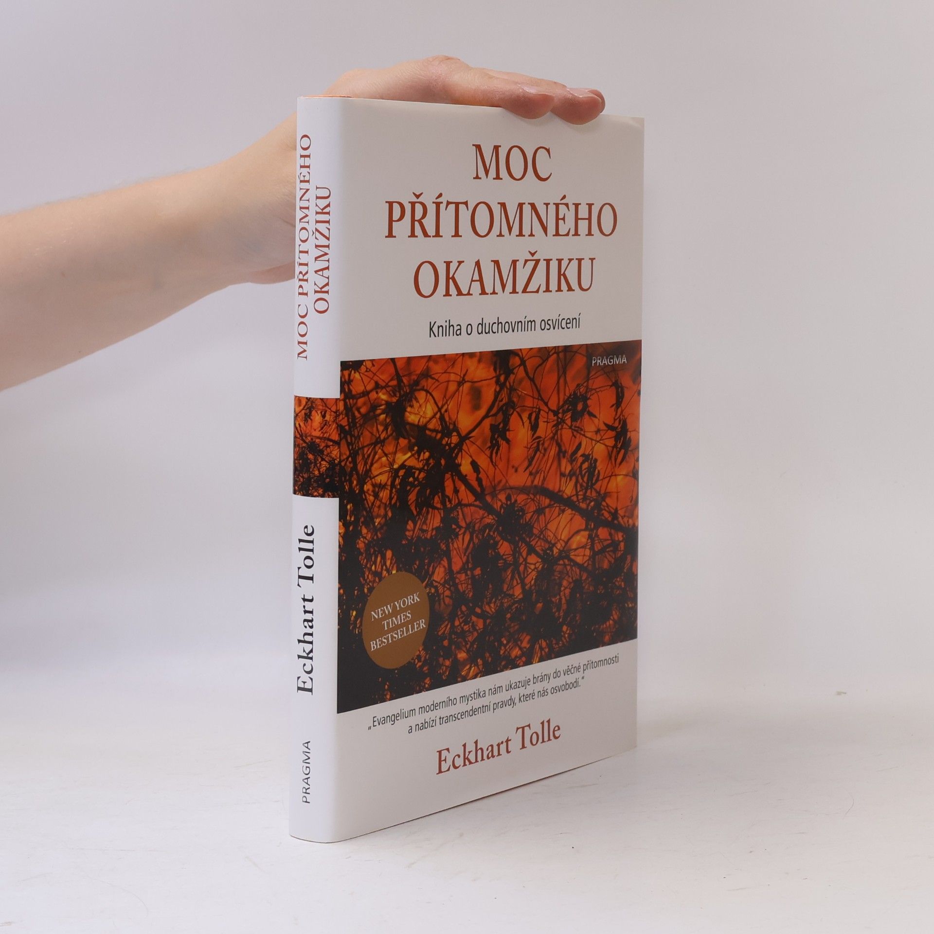 Eckhart Tolle Moc přítomného okamžiku