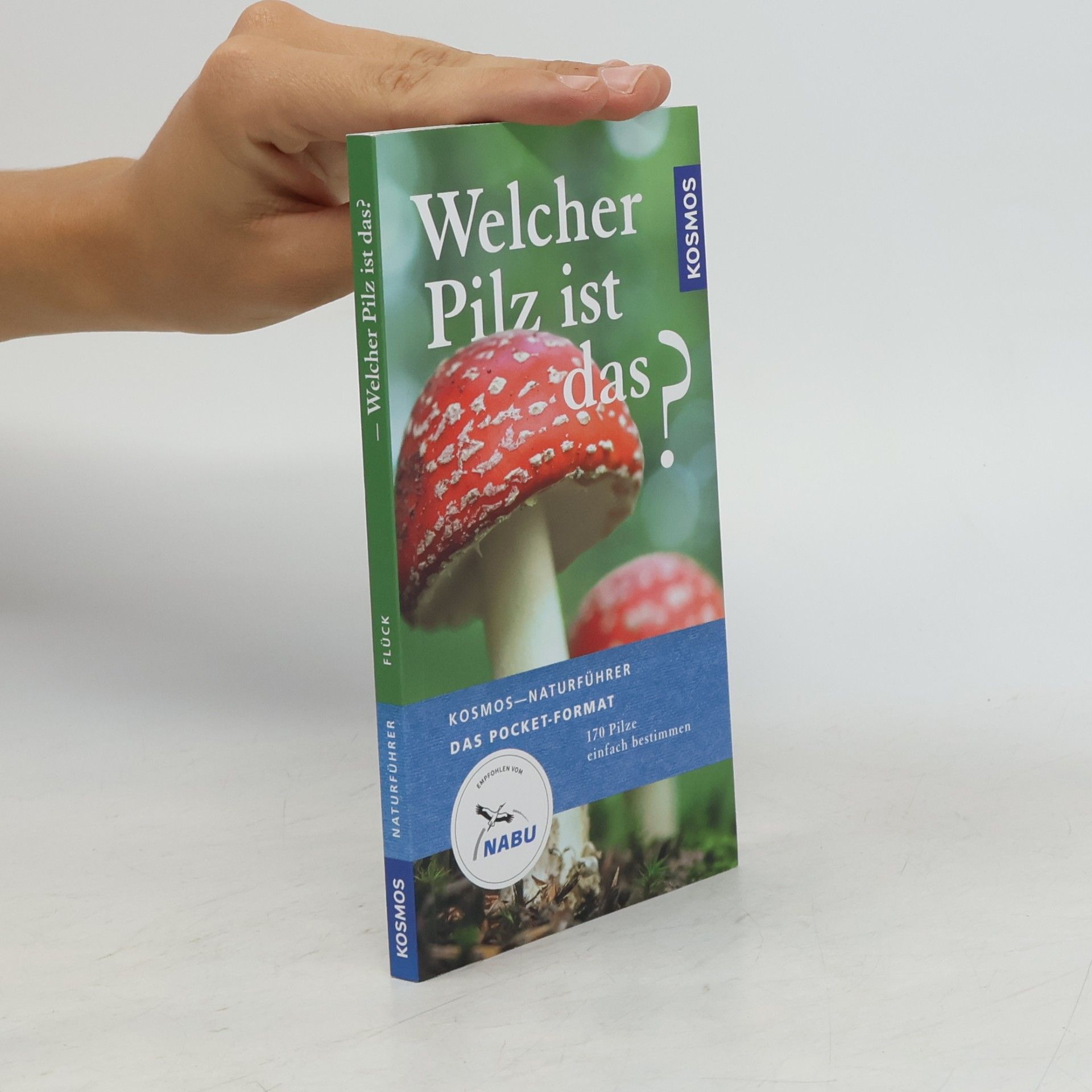 Markus Flück Welcher Pilz ist das?